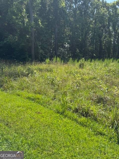Greensboro, GA 30642,1060 Twin Pines CIR NE