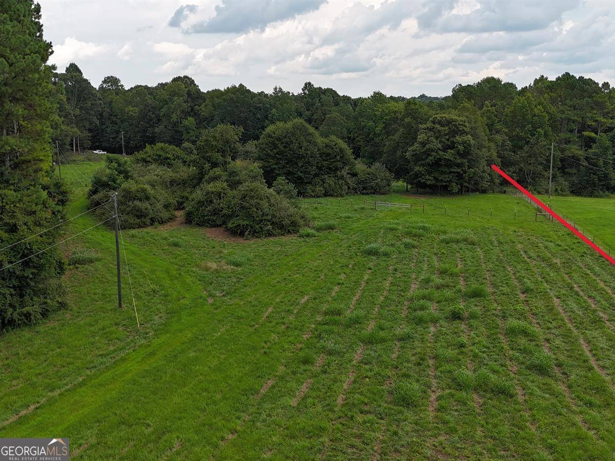 Carnesville, GA 30521,1711 Harber RD