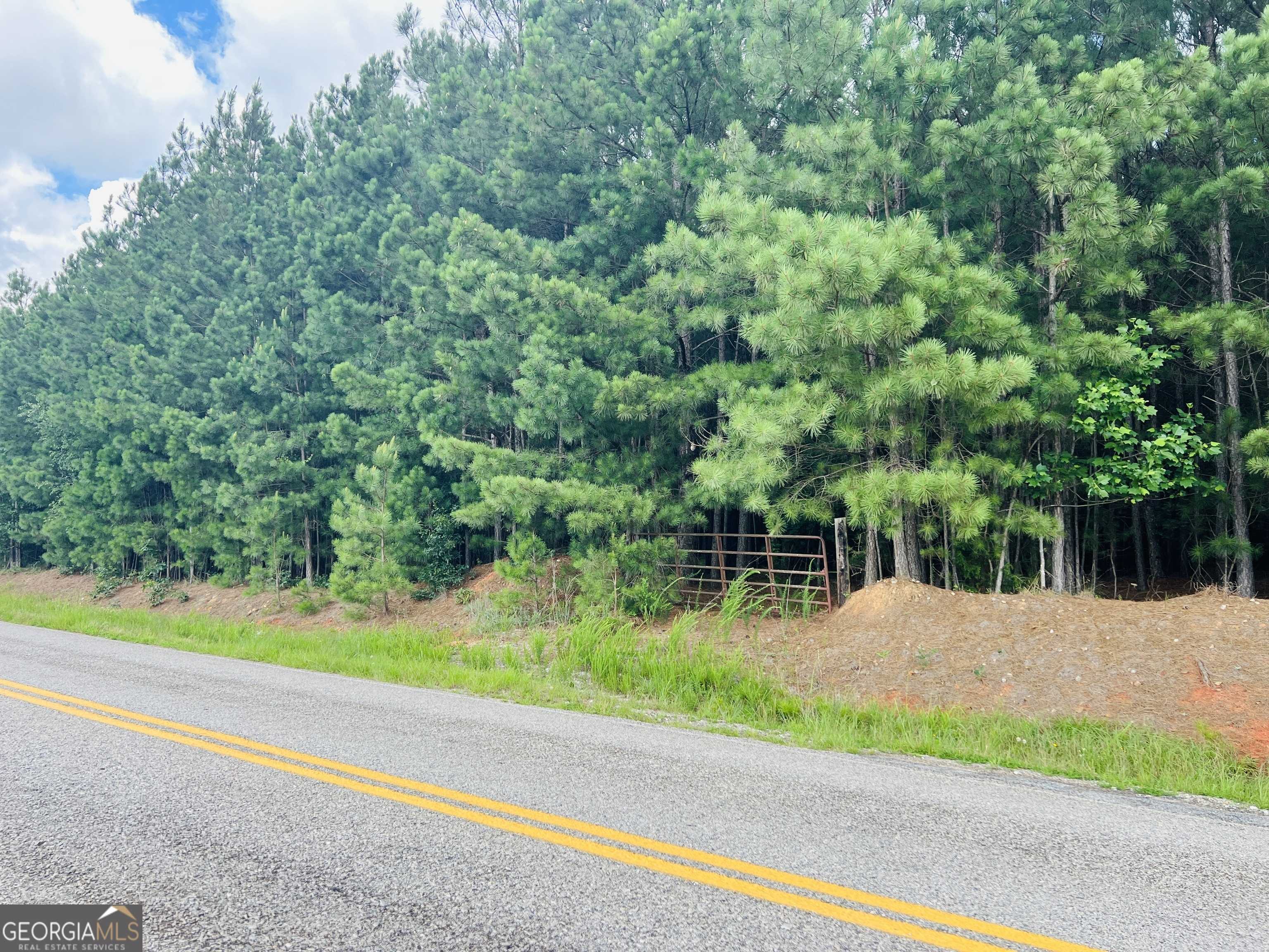 Colbert, GA 30628,0 Moriah Church Rd - 16.01 acres