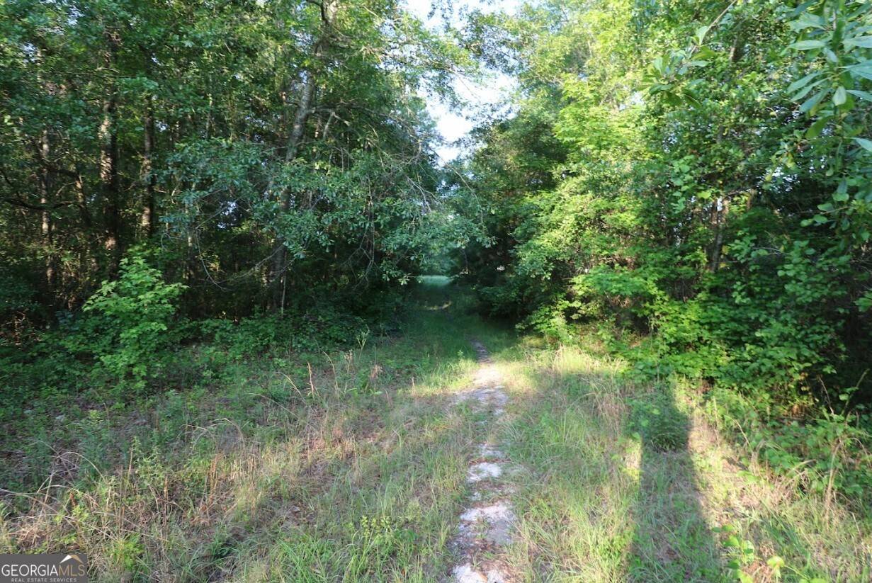Wrens, GA 30833,0 Kings Mill Road #1