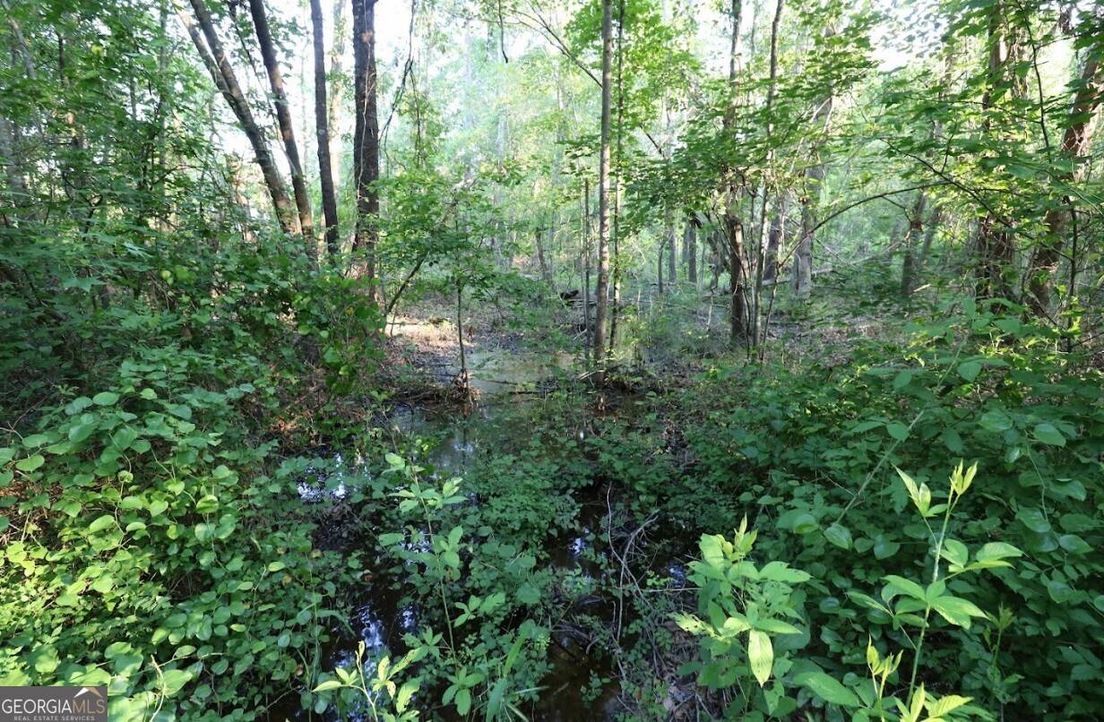 Wrens, GA 30833,0 Kings Mill Road #2
