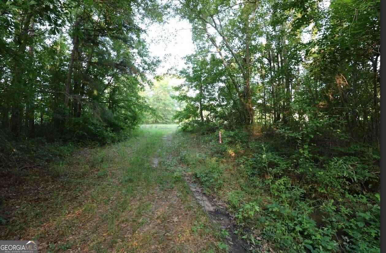 Wrens, GA 30833,0 Kings Mill Road #5