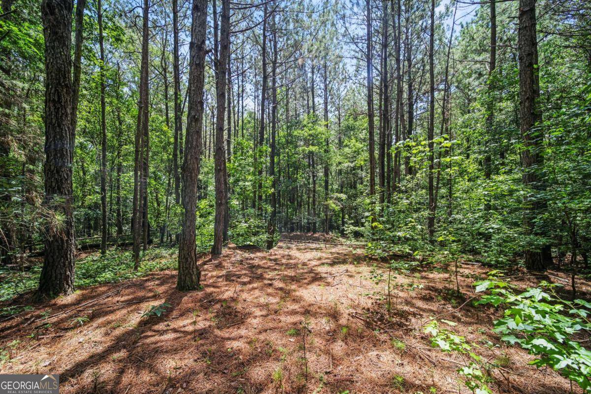 Commerce, GA 30530,LOT 3 Lord RD