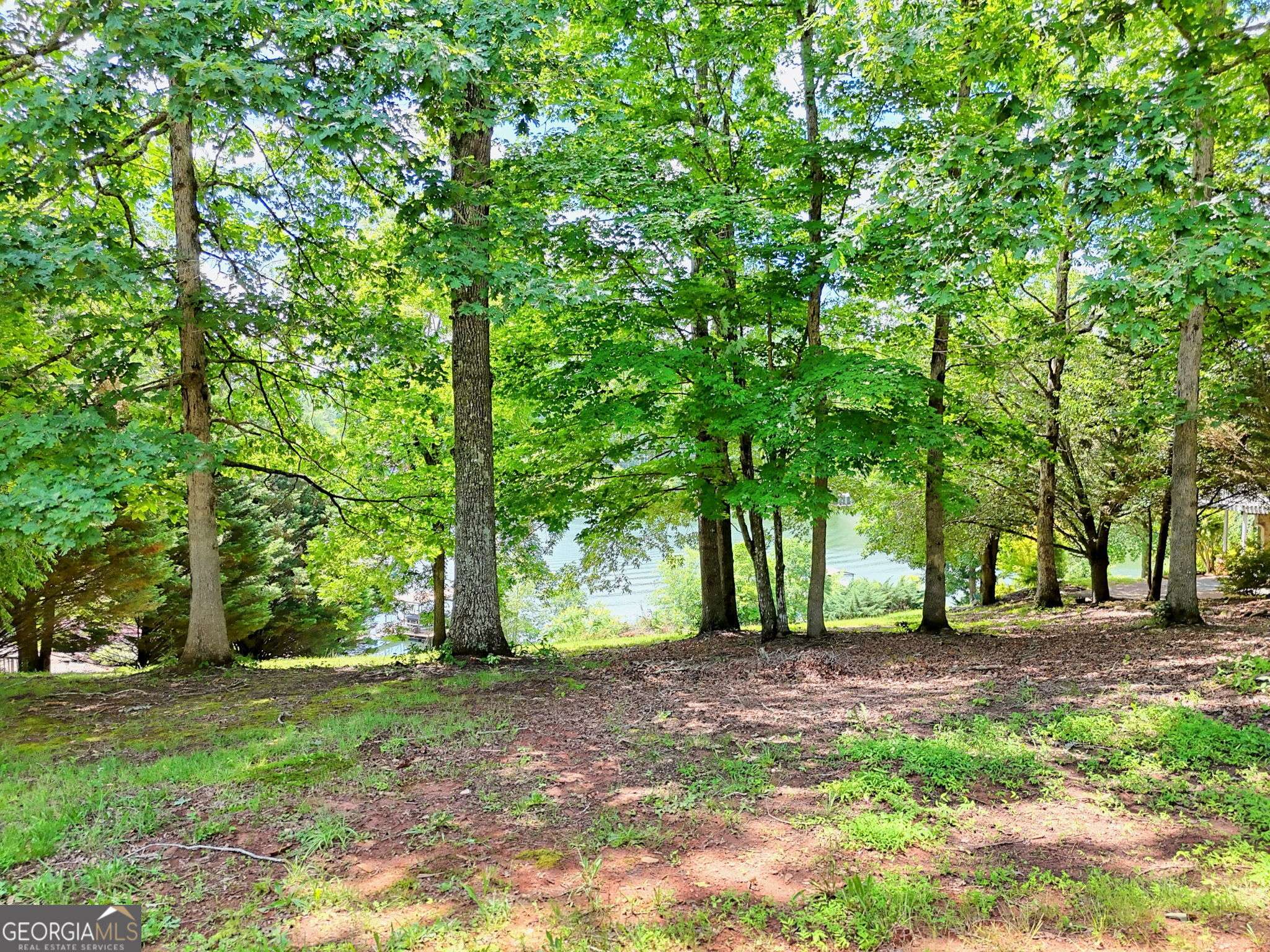 Hiawassee, GA 30546,#4 Stonecrest Circle