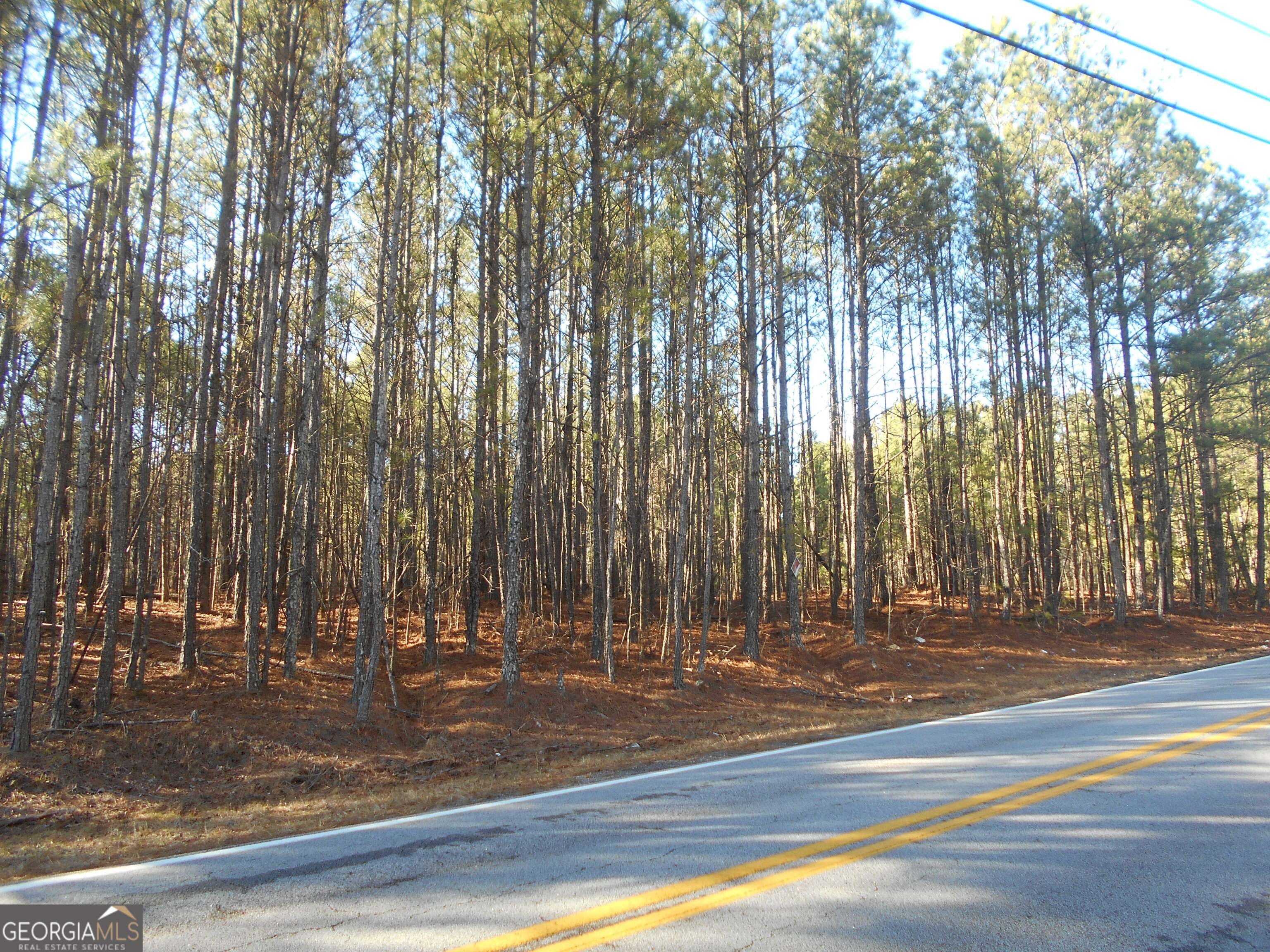 Loganville, GA 30052,46 AC South Sharon Church Road