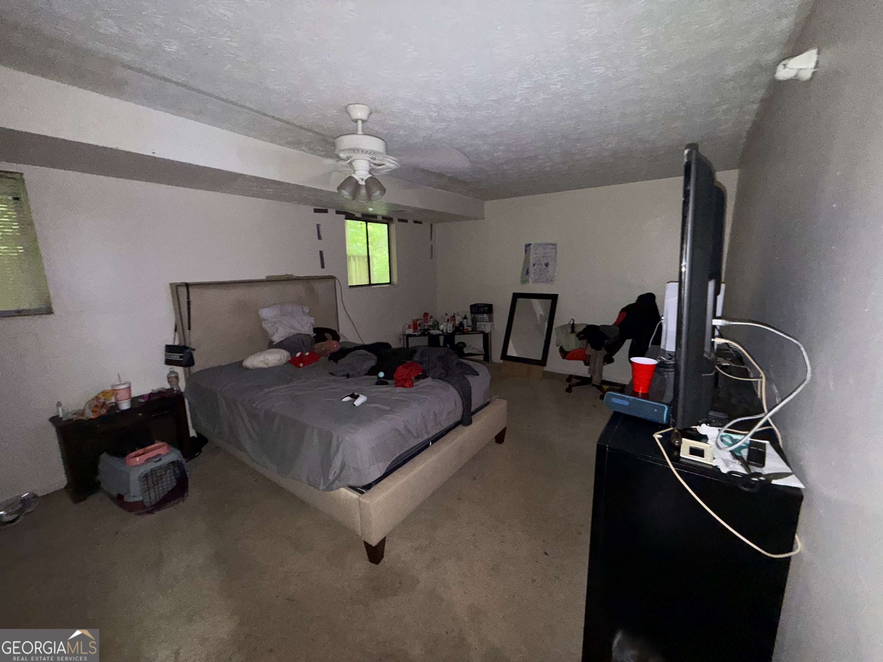 Rex, GA 30273,6884 Red Maple CT