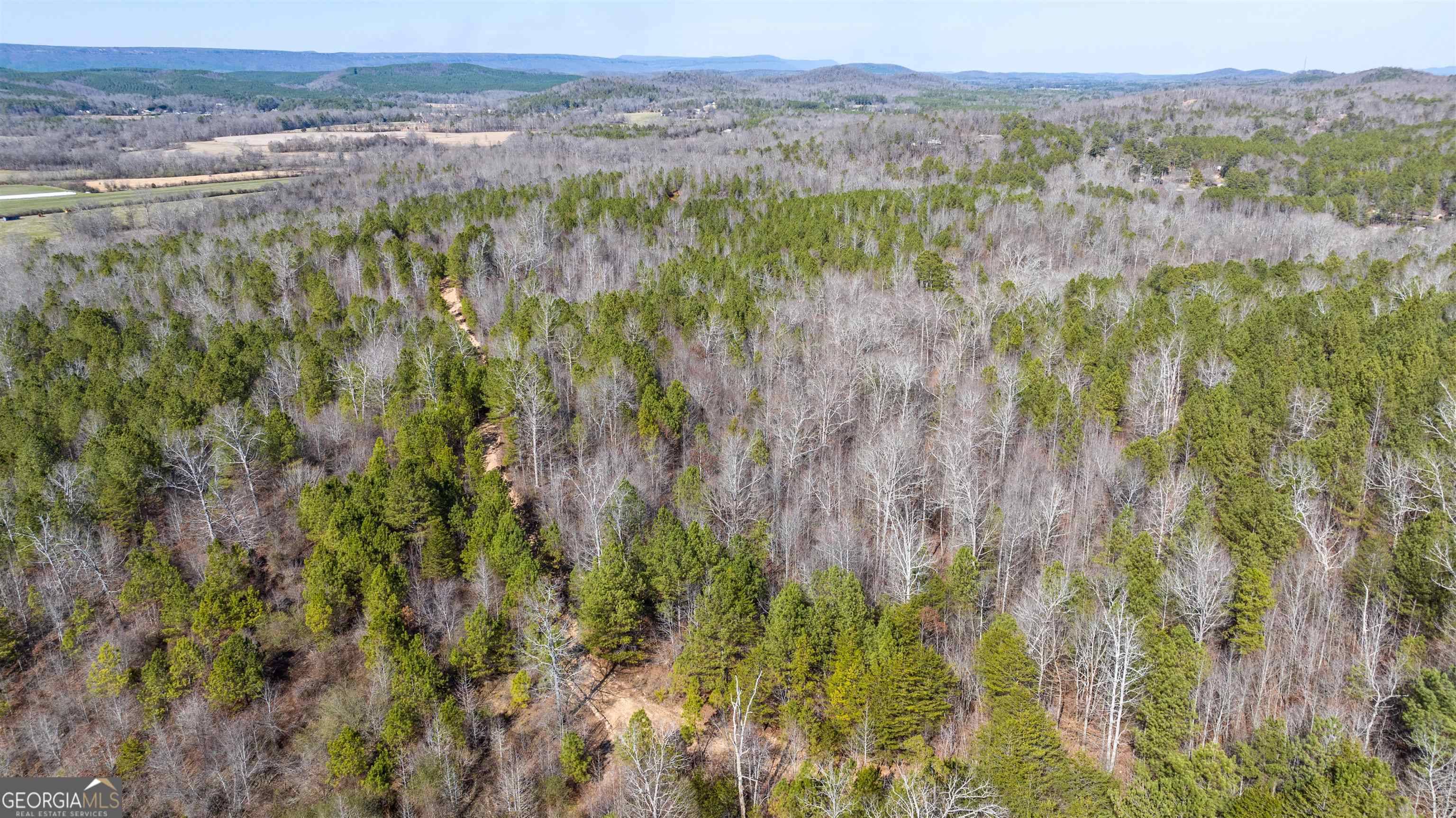 Summerville, GA 30747,0 Back Berryton RD