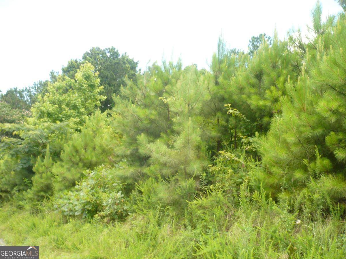 Dallas, GA 30132,0 Cochran RD