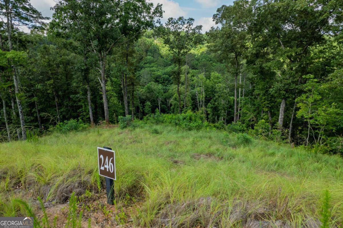 Talking Rock, GA 30175,LOT 246 Spear Point Dr