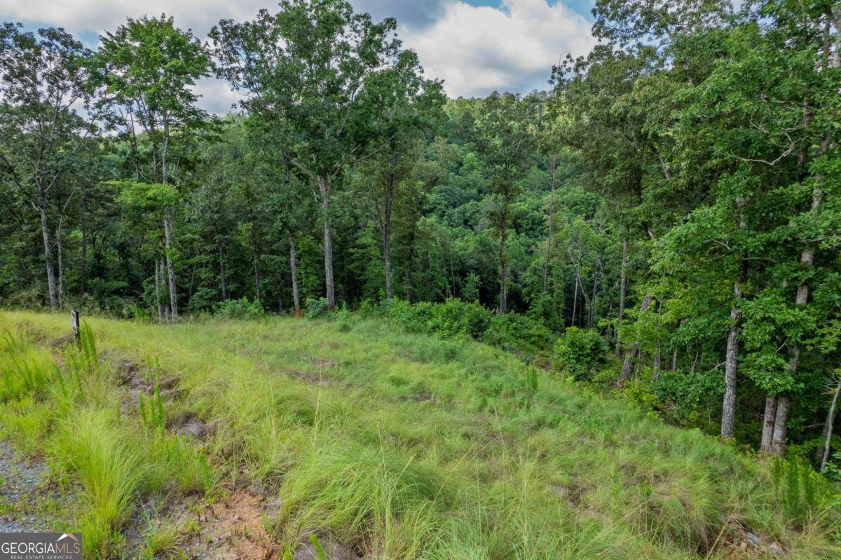 Talking Rock, GA 30175,LOT 246 Spear Point Dr