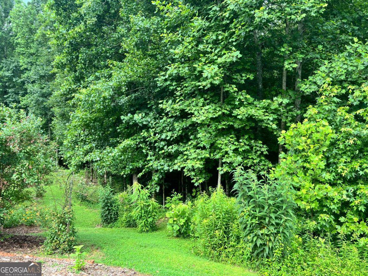 Gainesville, GA 30506,5578 Checkered Spot DR
