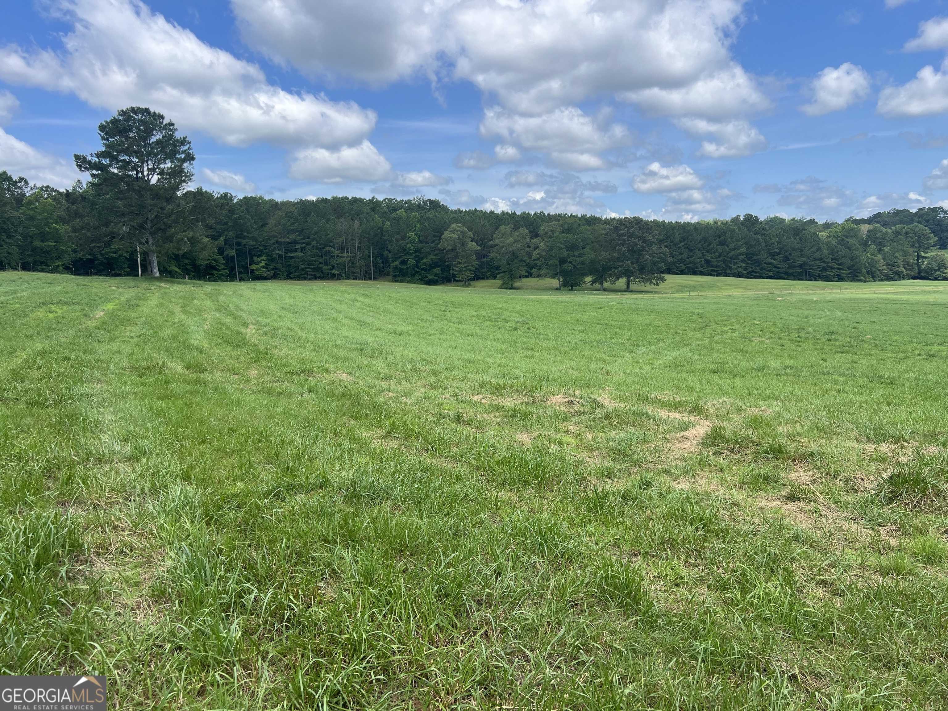 Roopville, GA 30170,0 Unity RD #1