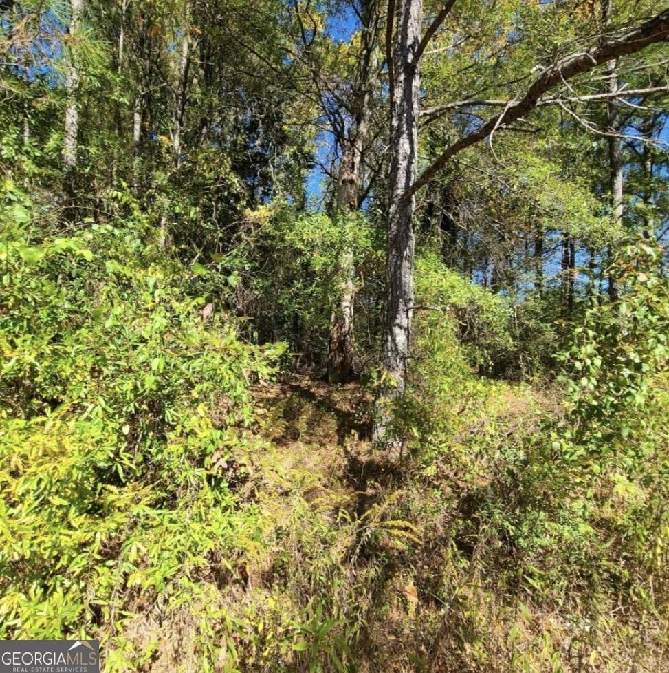 Rome, GA 30161,0 Scarlett LN