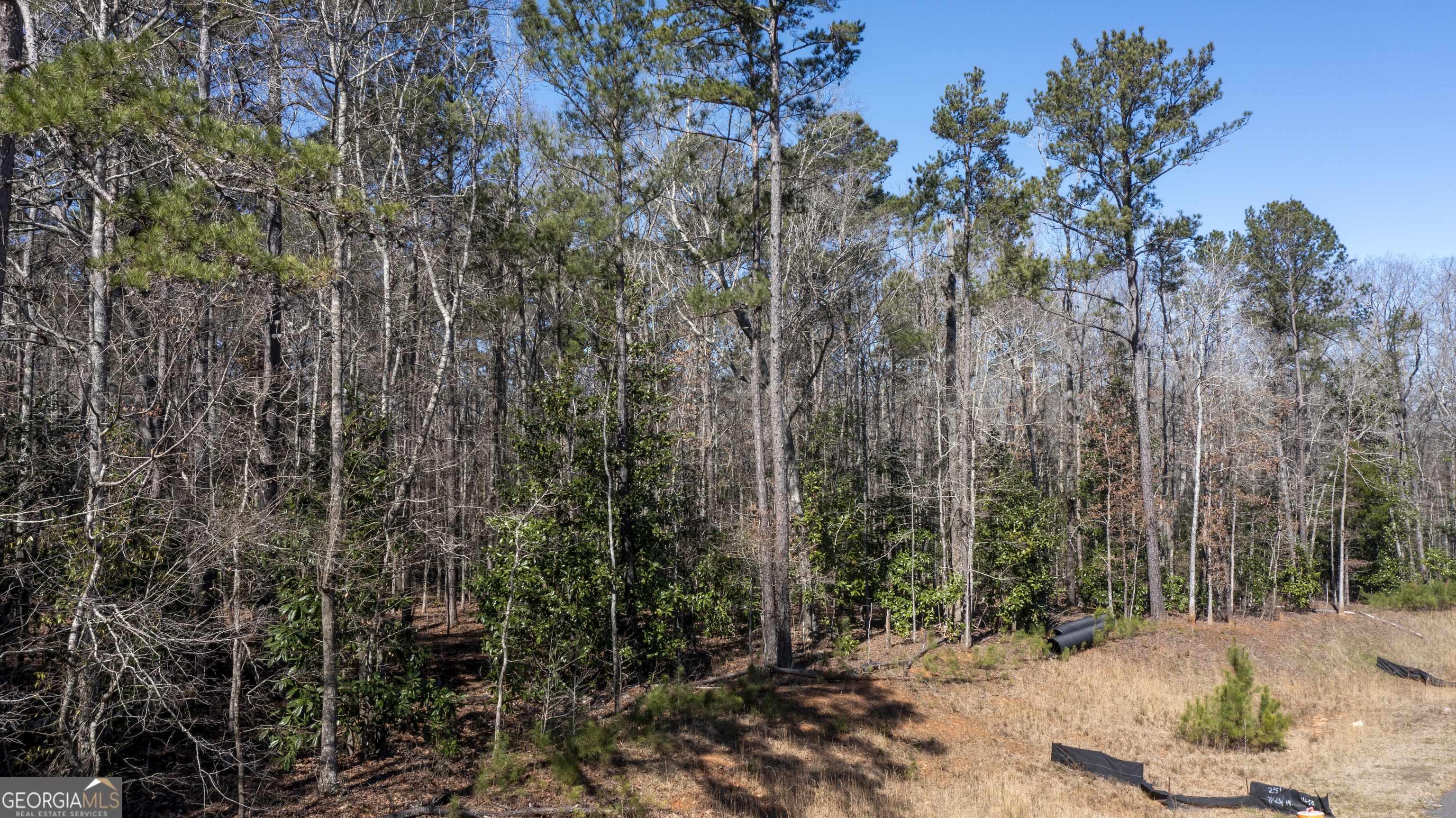 Warm Springs, GA 31830,0 Roosevelt HWY