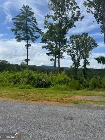 Ellijay, GA 30540,LOT 104 River Knoll Trail