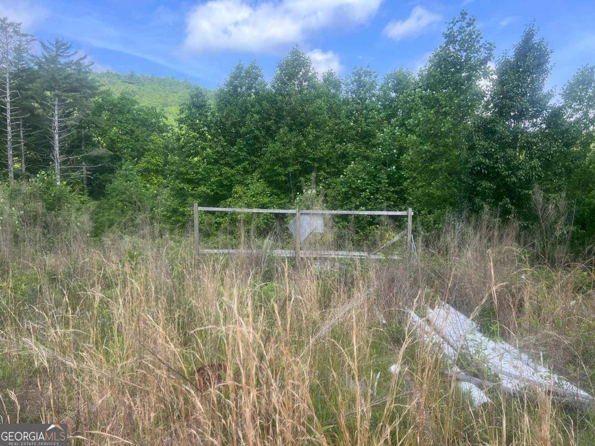 Ellijay, GA 30540,LOT 104 Ashe CT #104