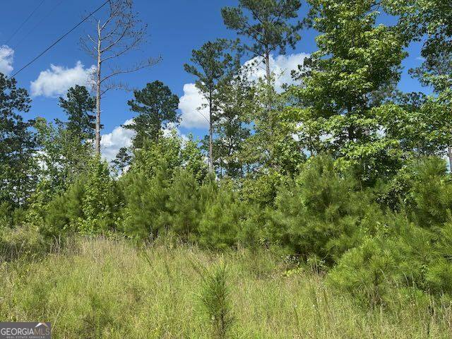 Tennille, GA 31089,LOT 10 Tennille Oconee RD