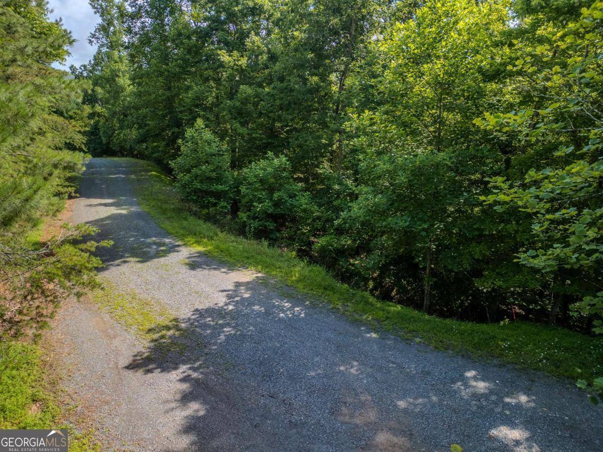 Blue Ridge, GA 30513,LOT 26 Toccoa Preserve Prairie
