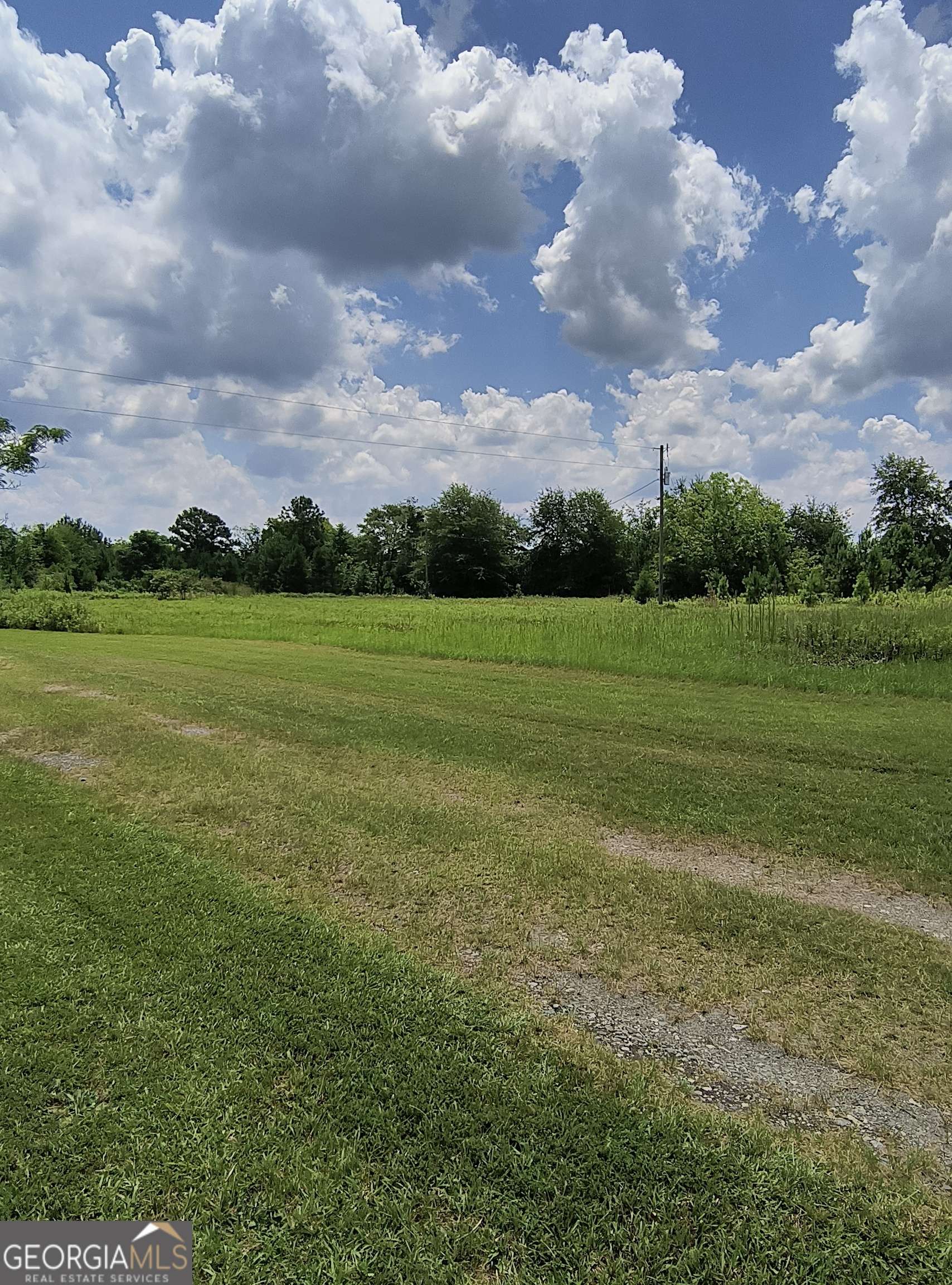 Fort Valley, GA 31030,1828 Tribble RD