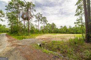 Springfield, GA 31329,0 Zettler RD
