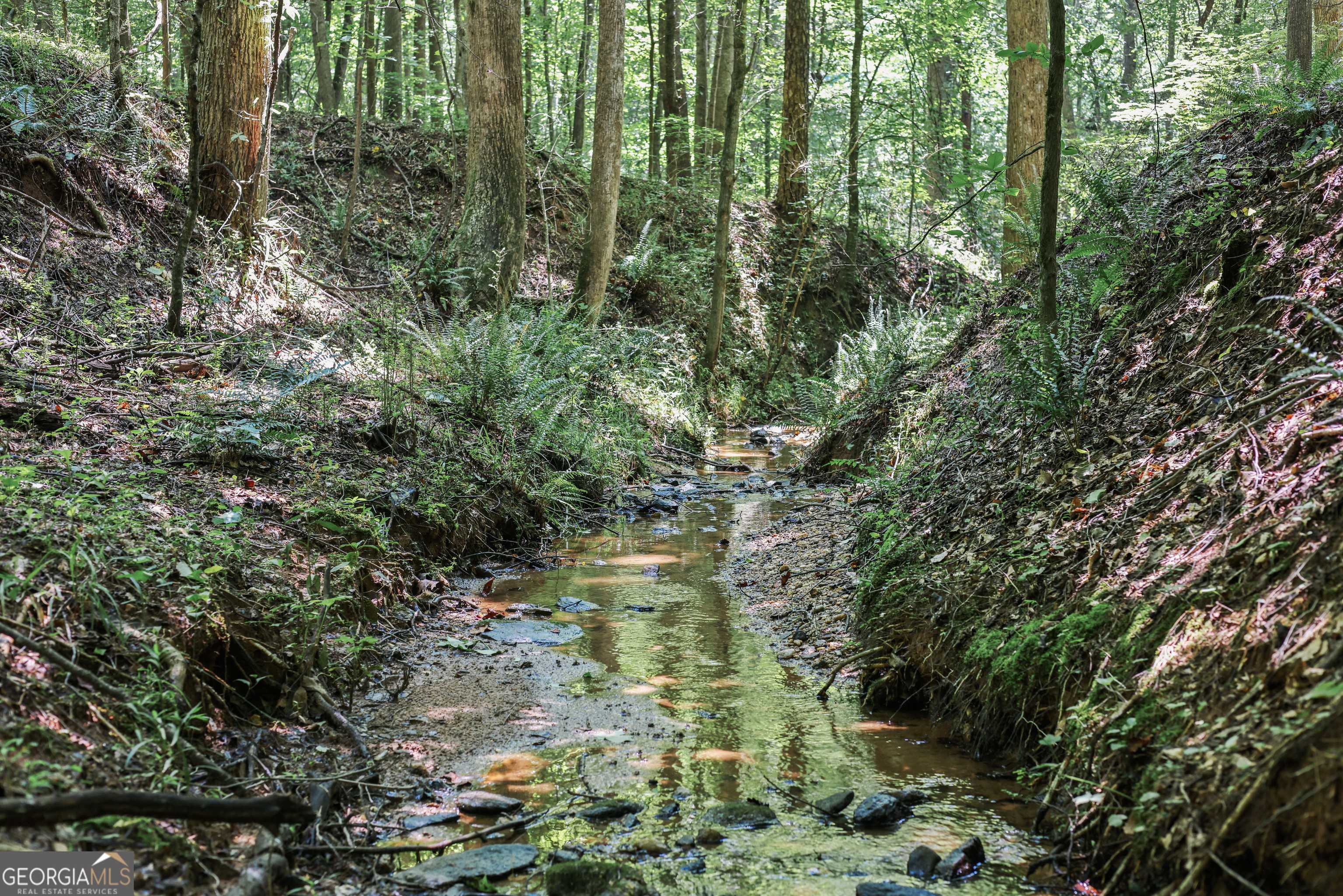 Commerce, GA 30530,LOT 5 Lord RD