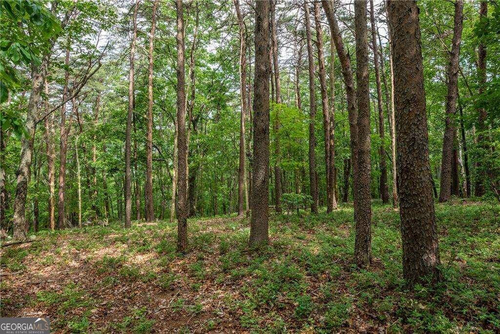 Jasper, GA 30143,206R Mystic Trail LN