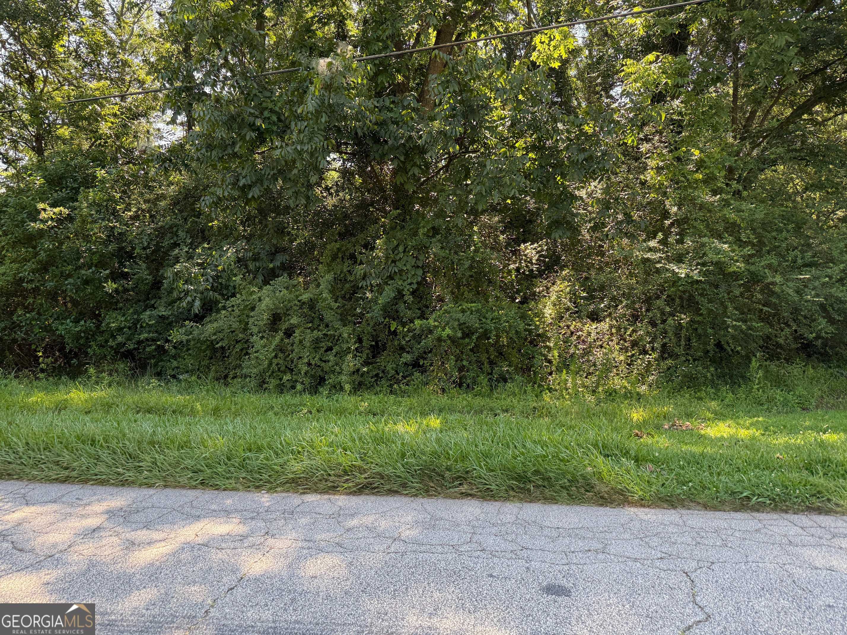 Hartwell, GA 30643,0 N Forest AVE