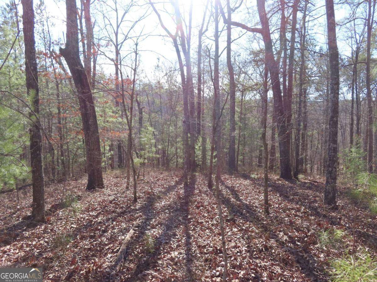 Talking Rock, GA 30175,LOT 1906 Finale Street