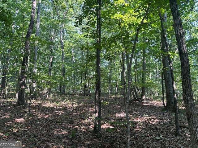 Ranger, GA 30734,0 Bear Mountain RD