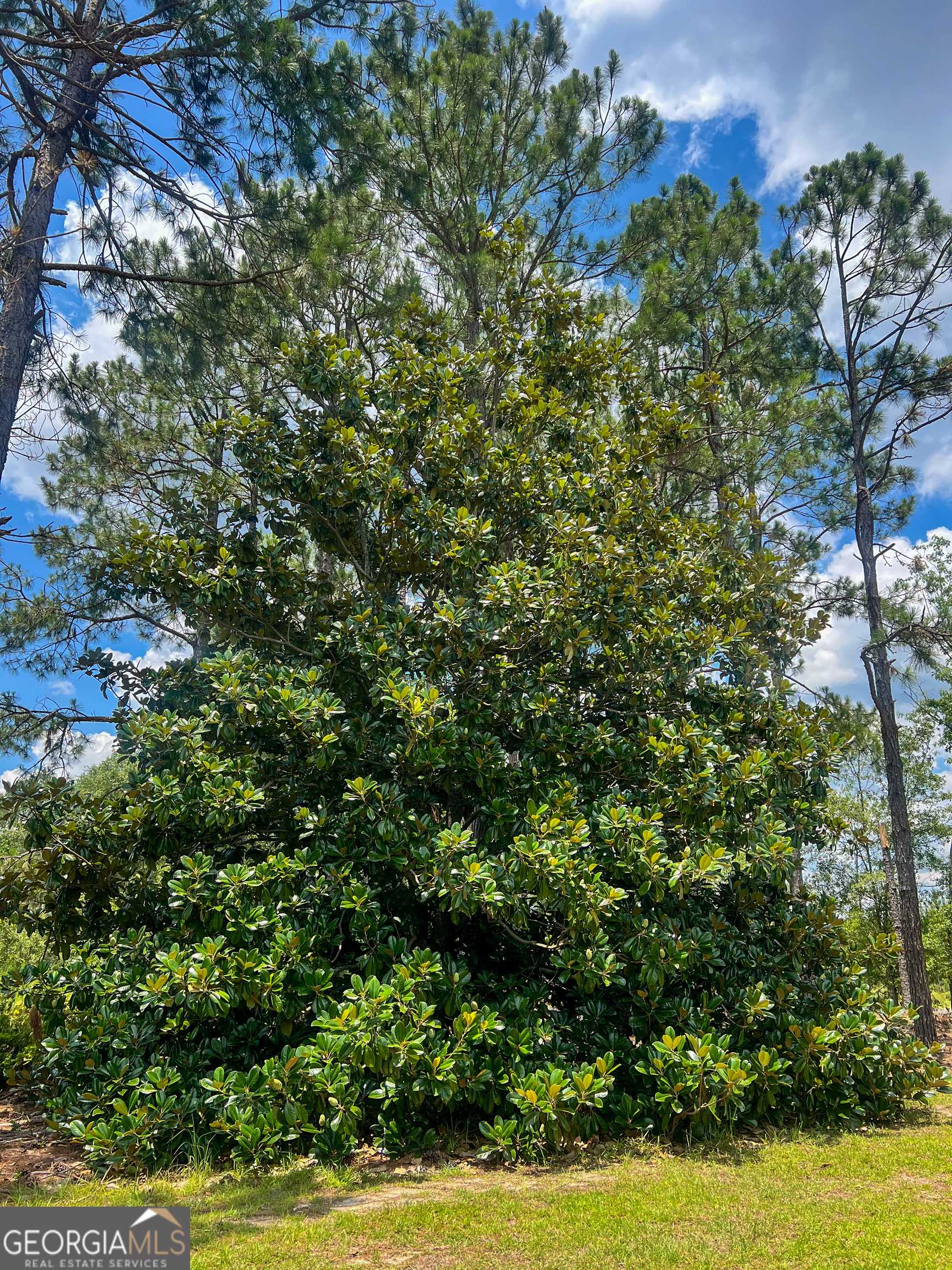 Soperton, GA 30457,9269 Ga Highway 15