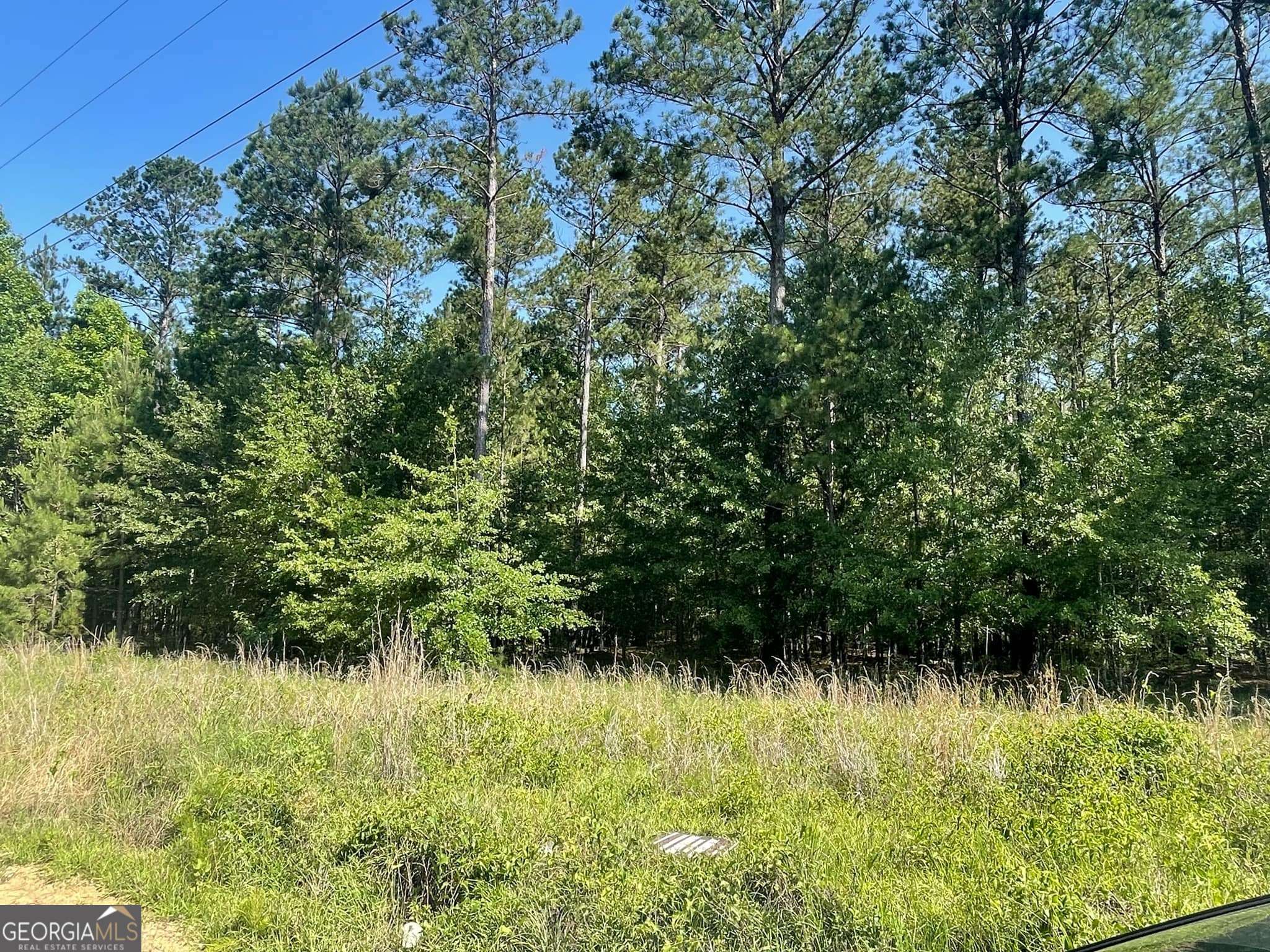Wrightsville, GA 31096,0 Goins RD