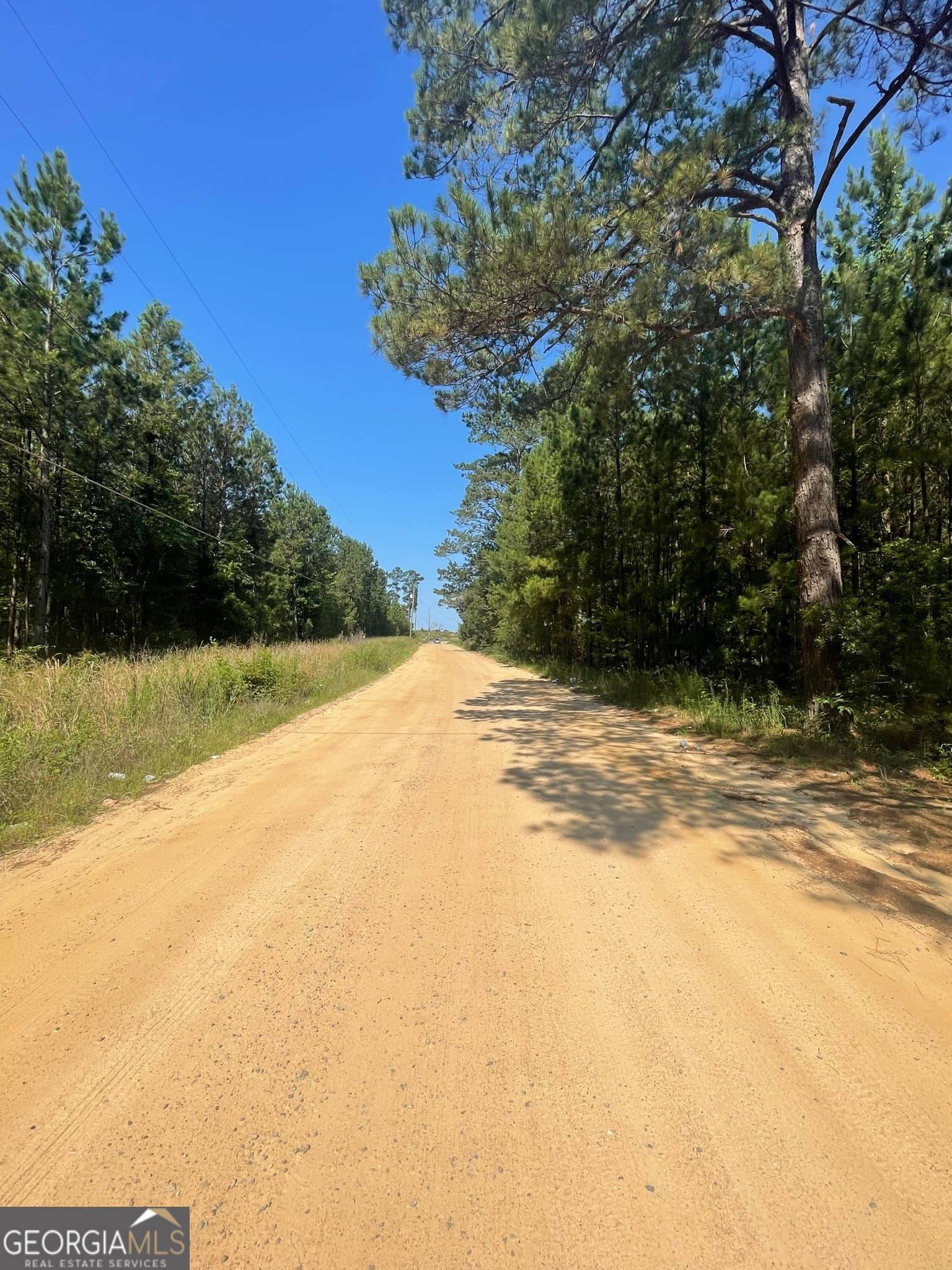Wrightsville, GA 31096,0 Goins RD