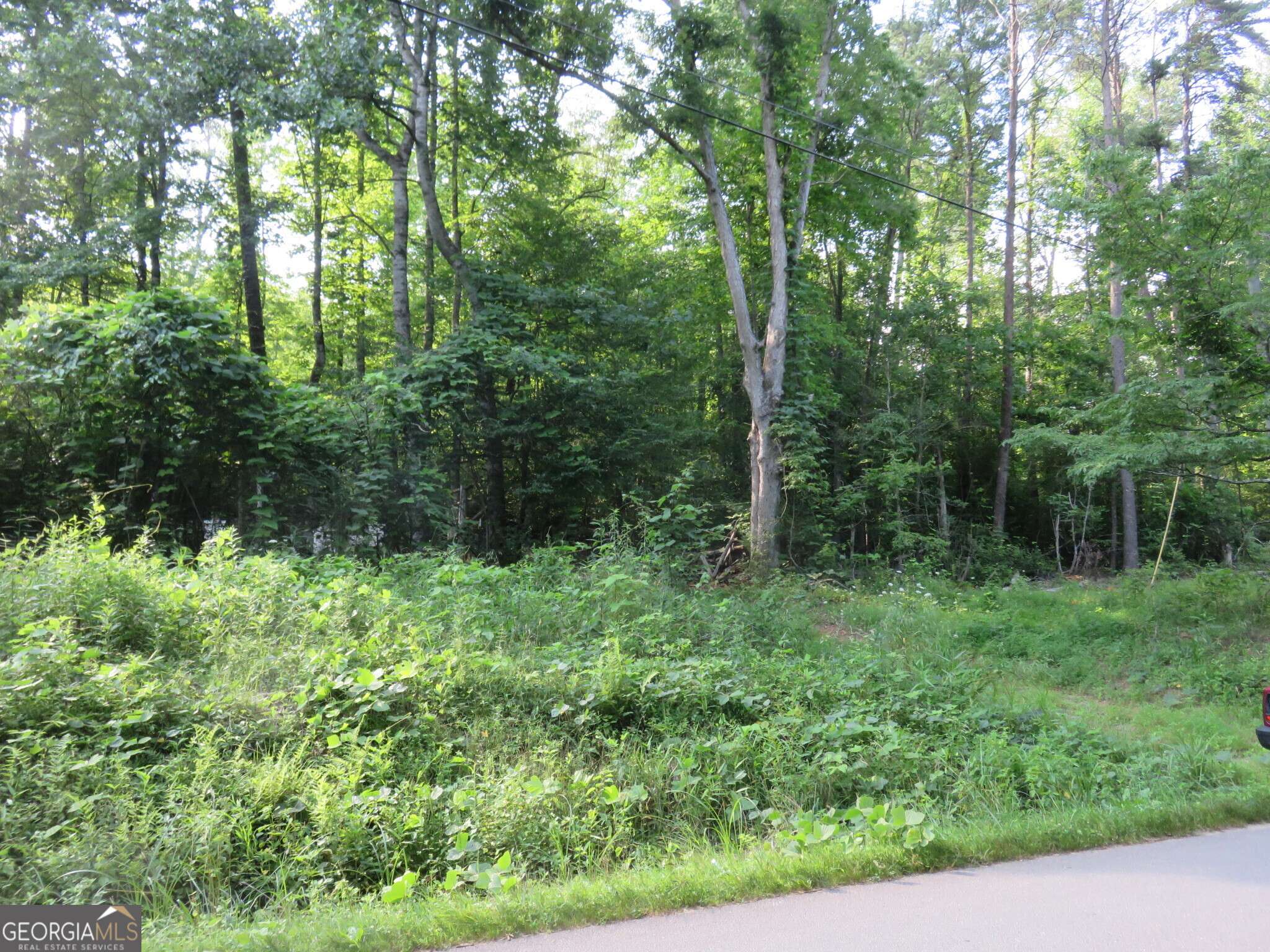 Sautee Nacoochee, GA 30571,570 Rabun Road