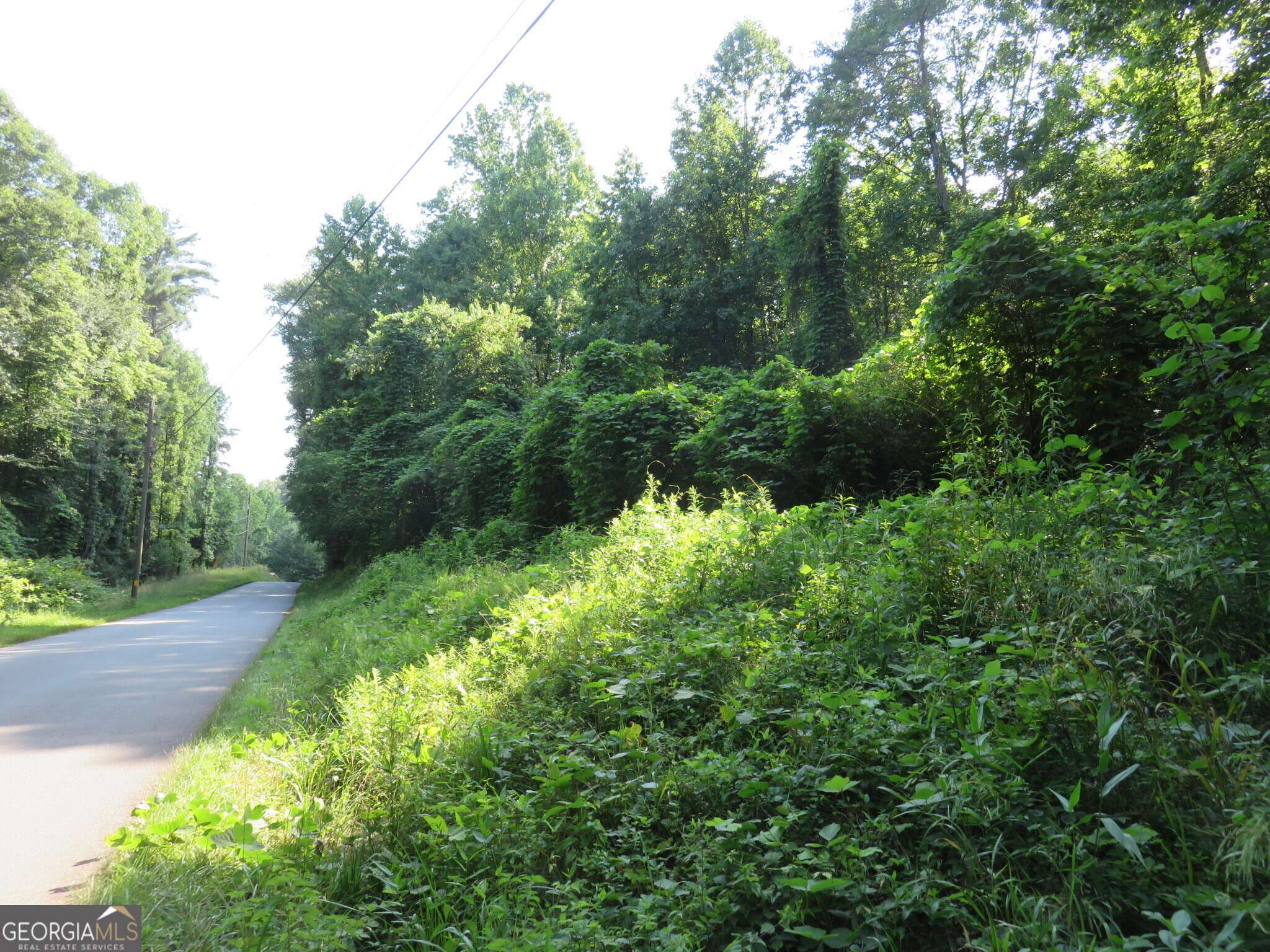 Sautee Nacoochee, GA 30571,570 Rabun Road