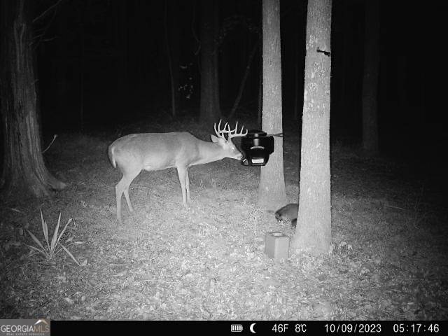 Senoia, GA 30276,1978 Luther Bailey Rd.