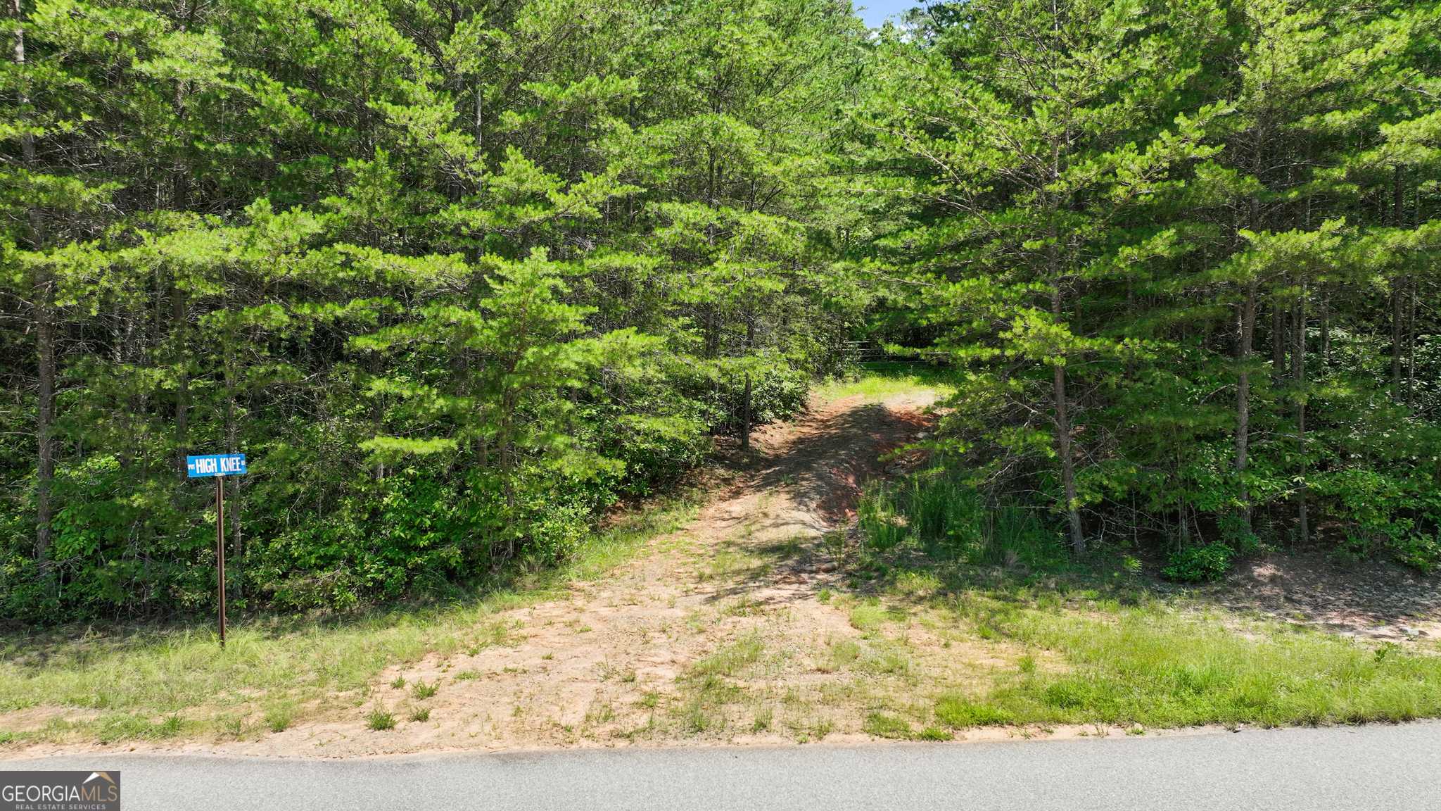 Cherry Log, GA 30522,LOT 1 High Knee Road