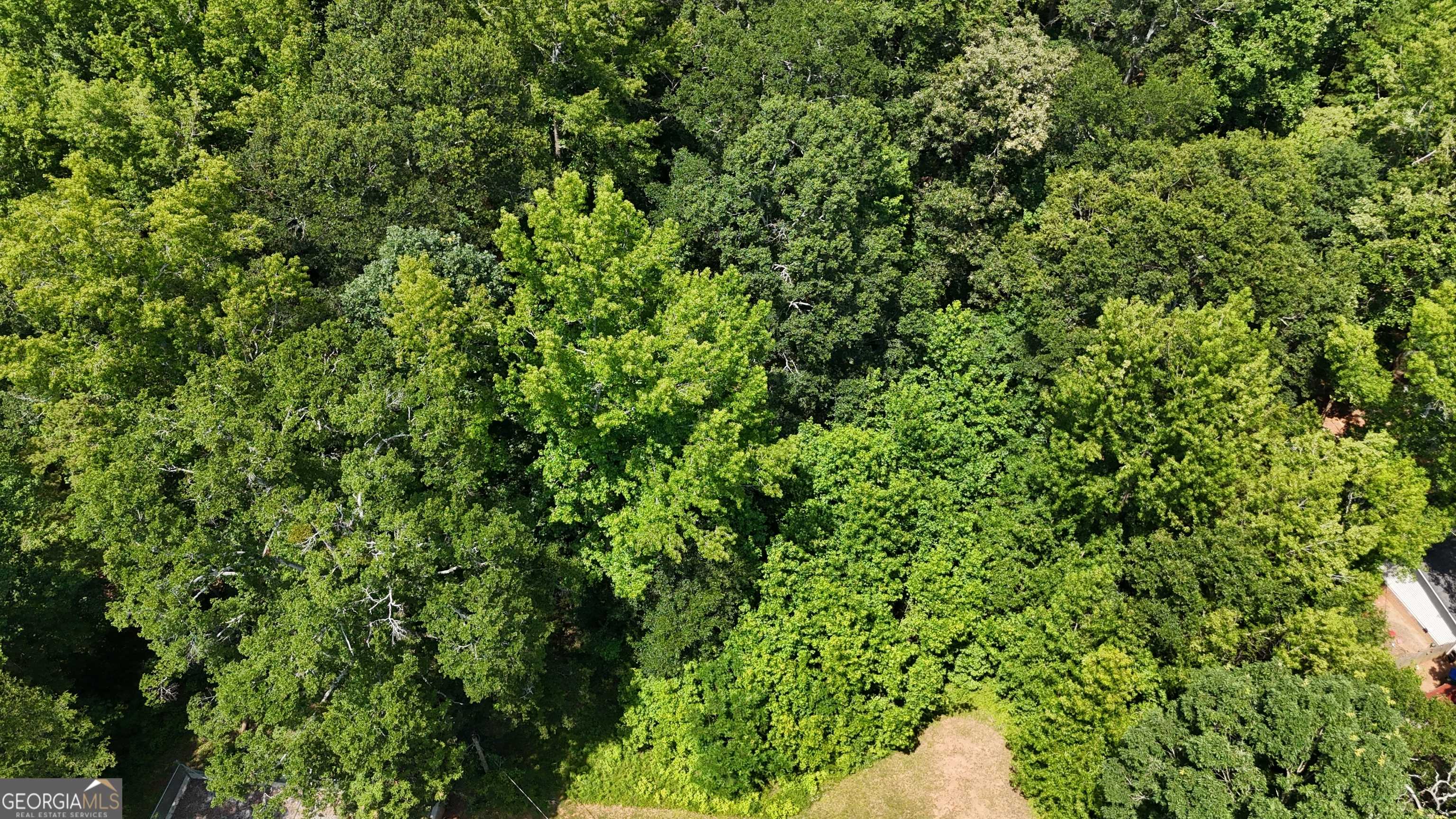 Danielsville, GA 30633,255 Hillwood DR ## 1