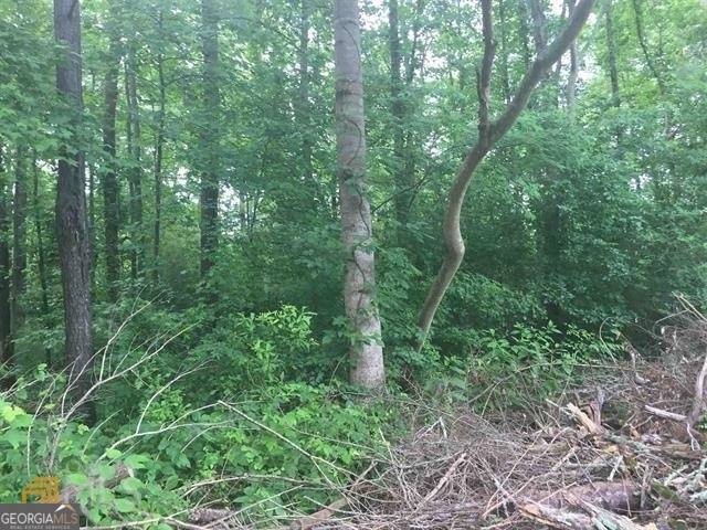 Lithonia, GA 30038,4588 Amherst Forest DR