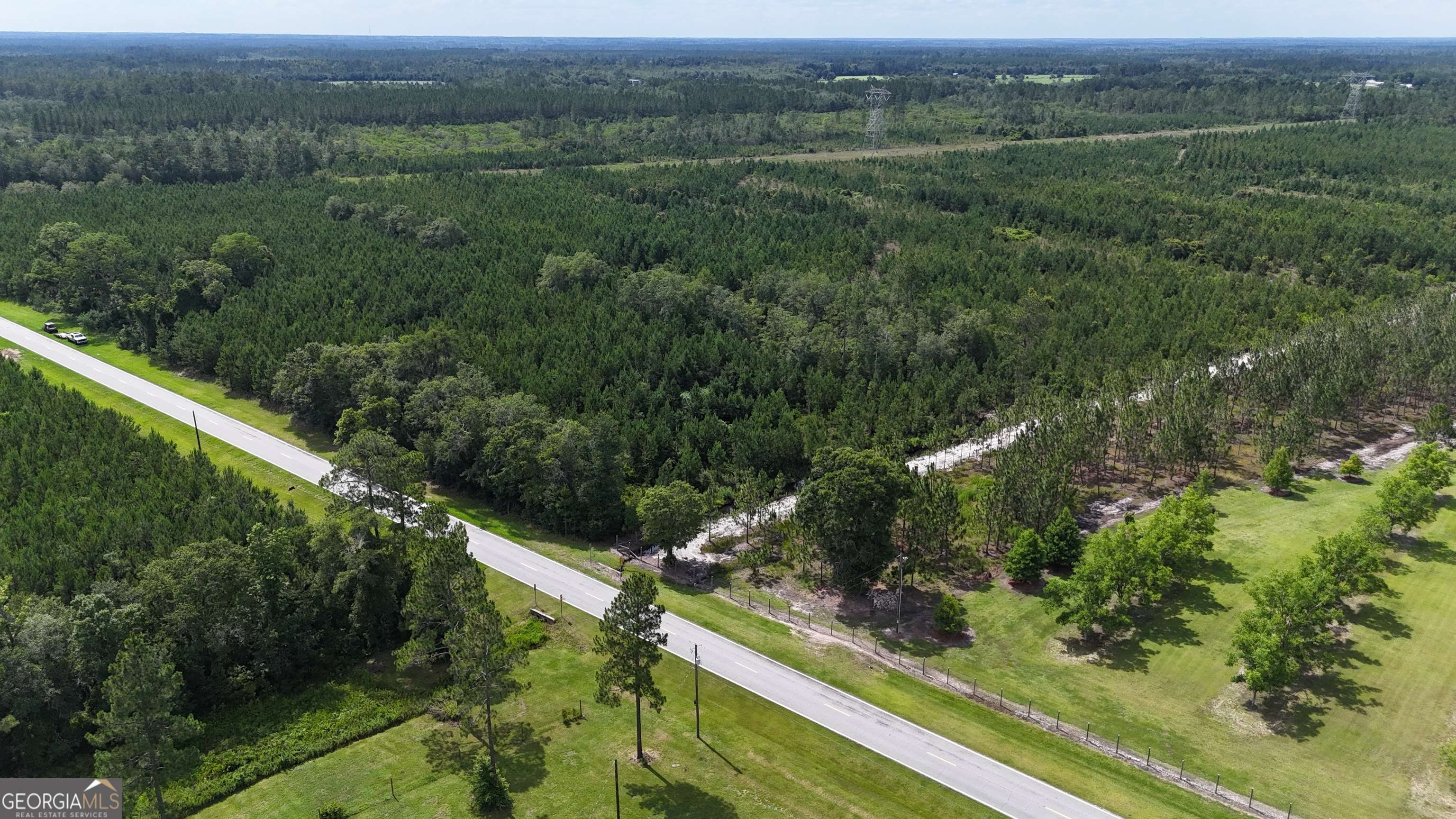 Blackshear, GA 31516,TRACT 1 Trudie RD