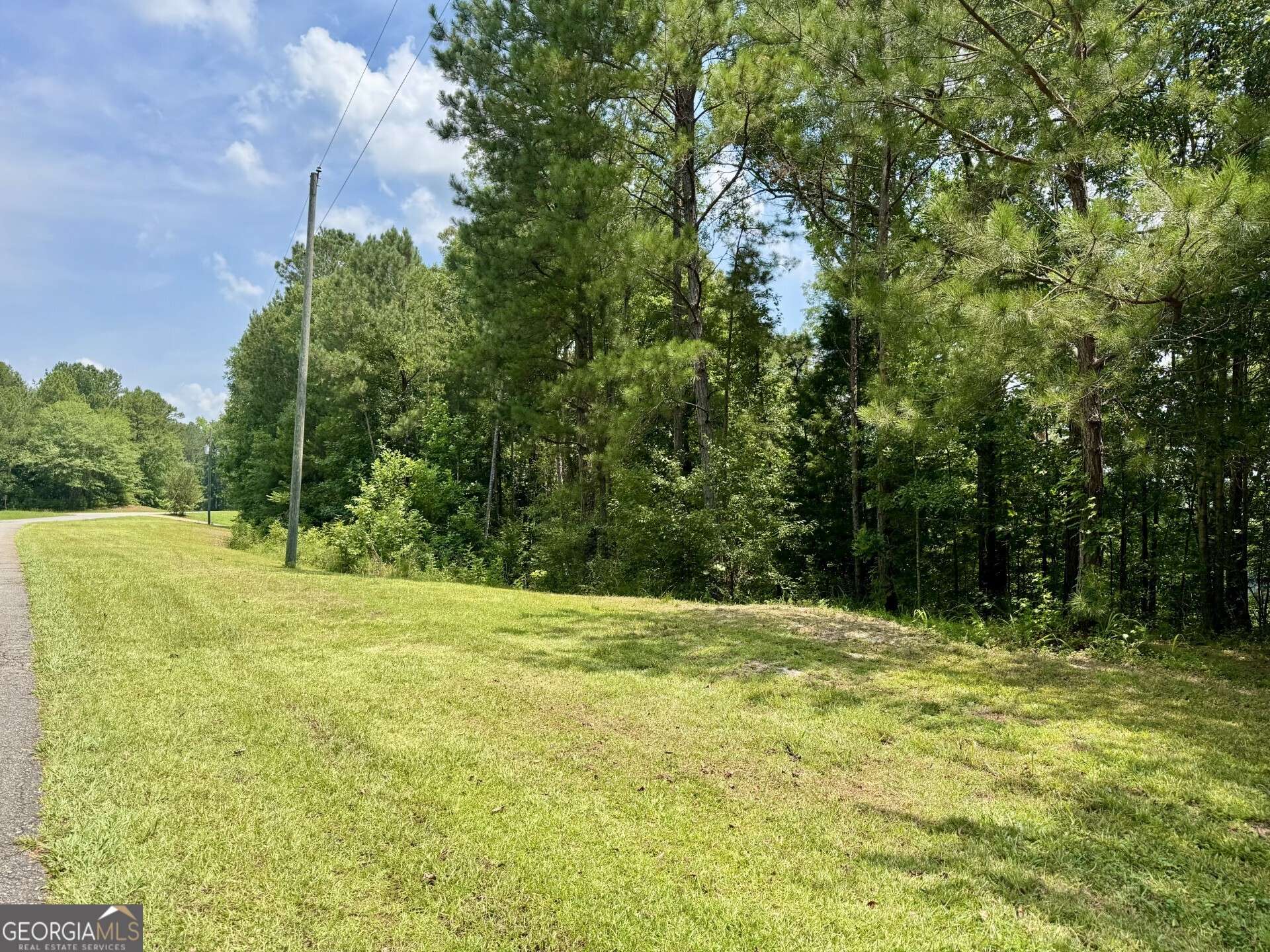 Wedowee, AL 36278,LOTS 90 & 91B Wright Way Drive