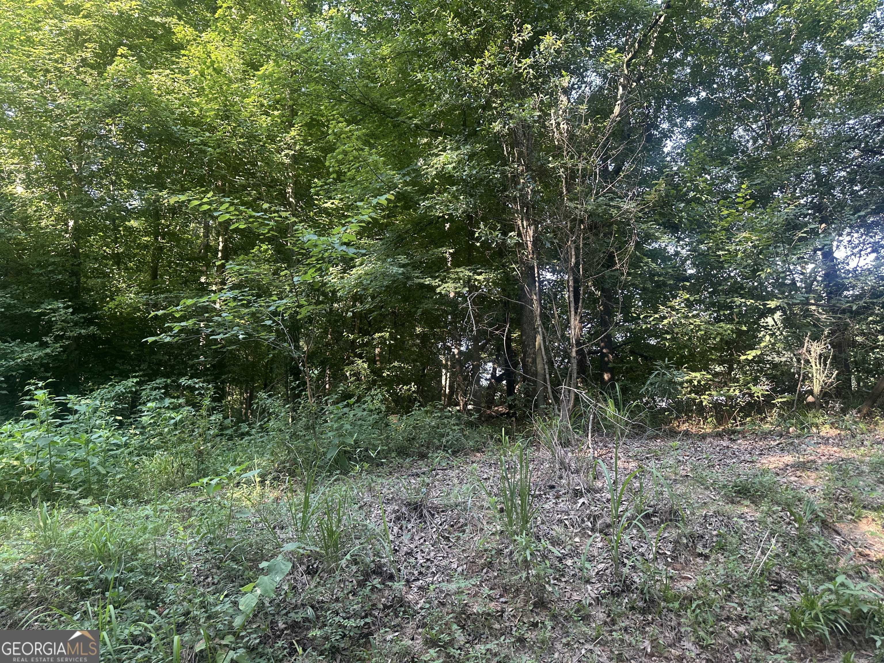 Commerce, GA 30530,775 RIVERBEND