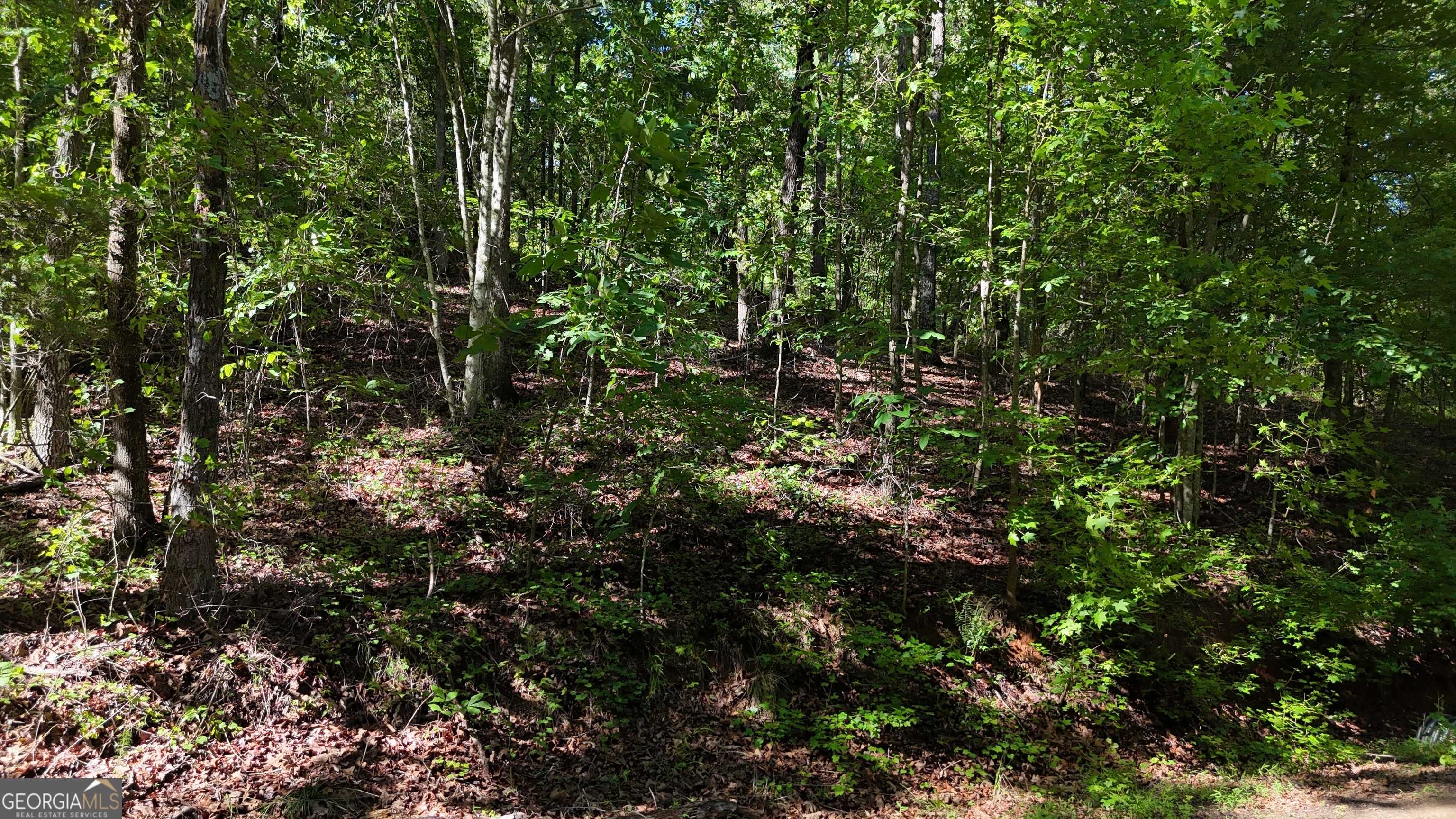 Cleveland, GA 30528,LOT 1 Cherry Ridge LN