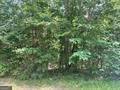 Union Point, GA 30669,0 Buffalo Lick RD