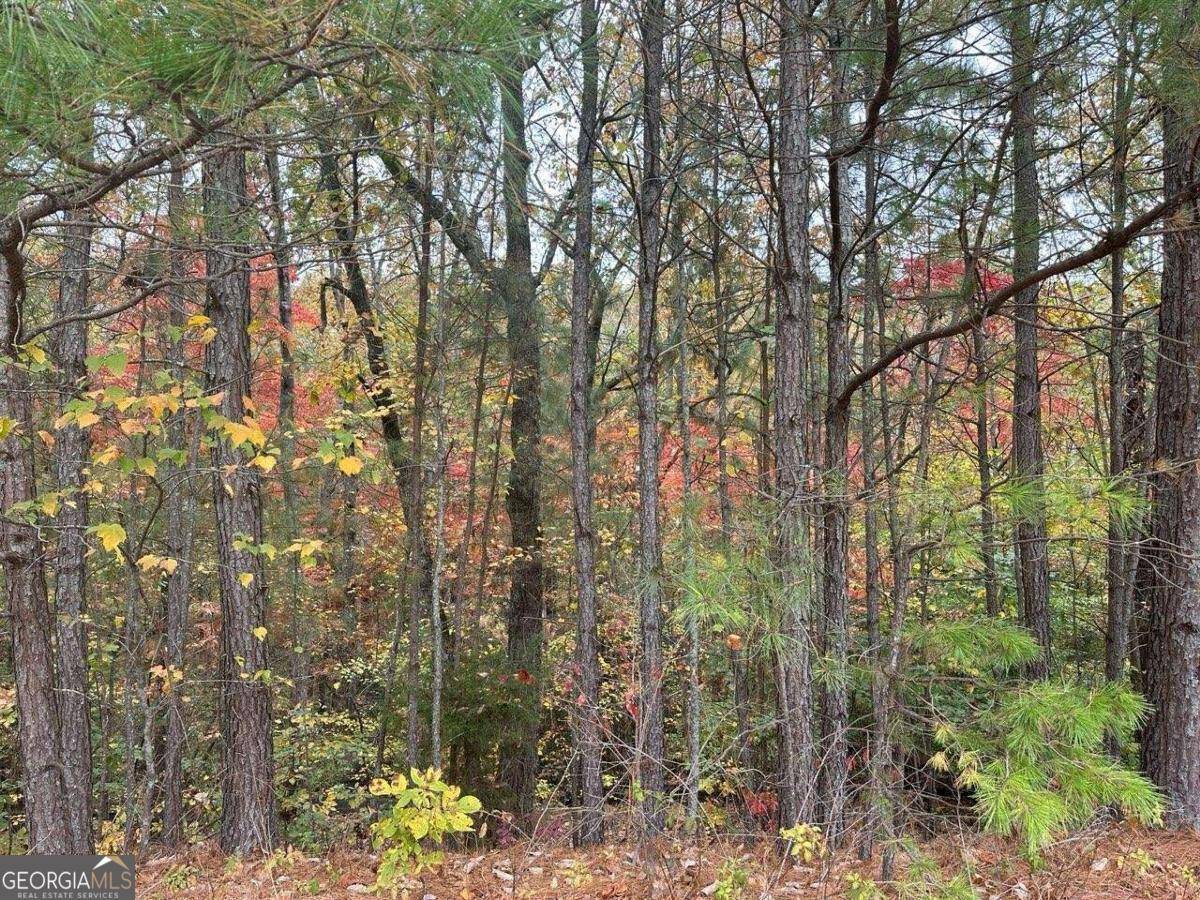 White, GA 30184,125 Spring Lake TRL