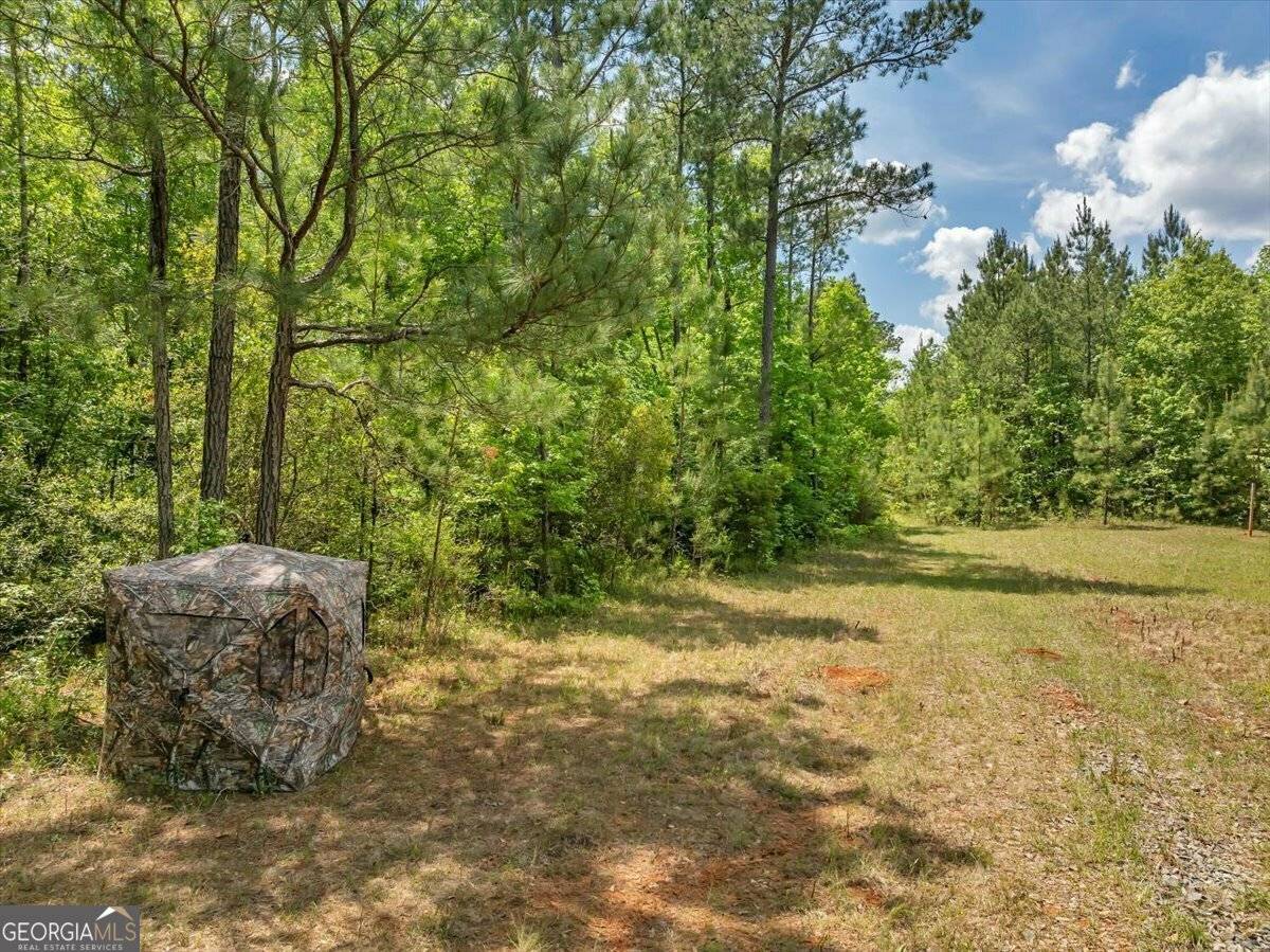 Cusseta, GA 31805,243 Lafayette RD