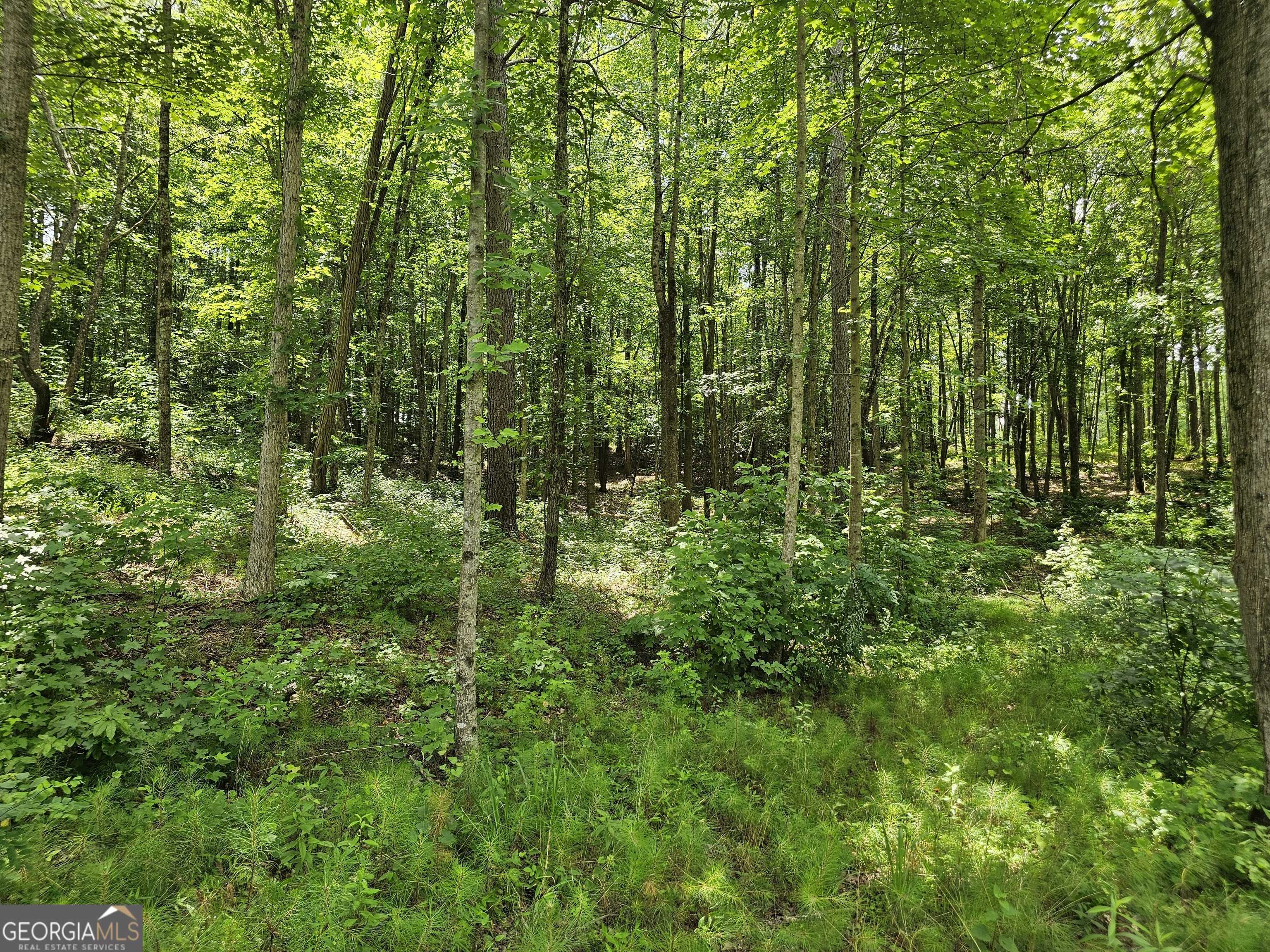 Talking Rock, GA 30175,0 Twisted Oak RD
