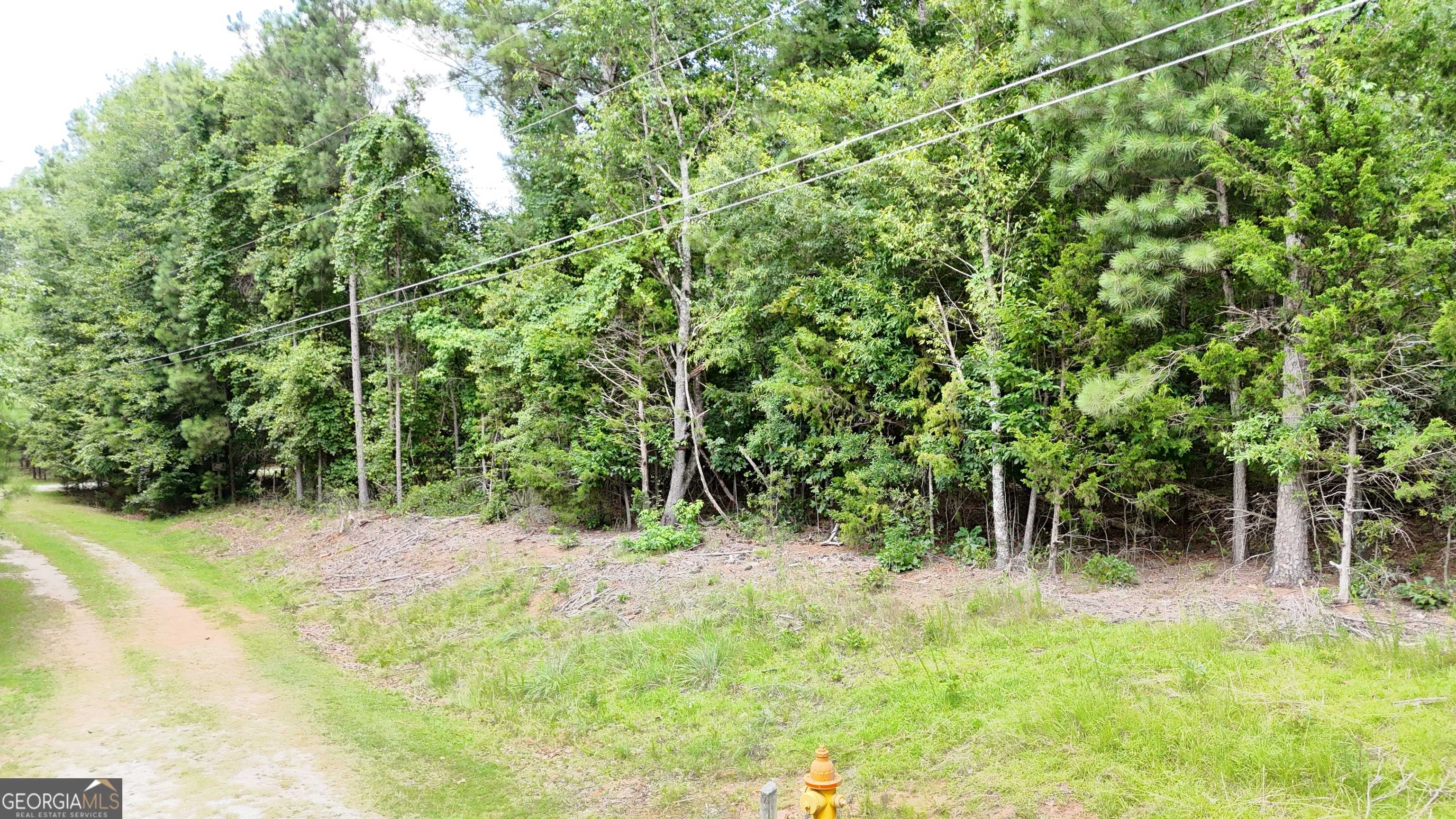 Hartwell, GA 30643,0 Piney Wood