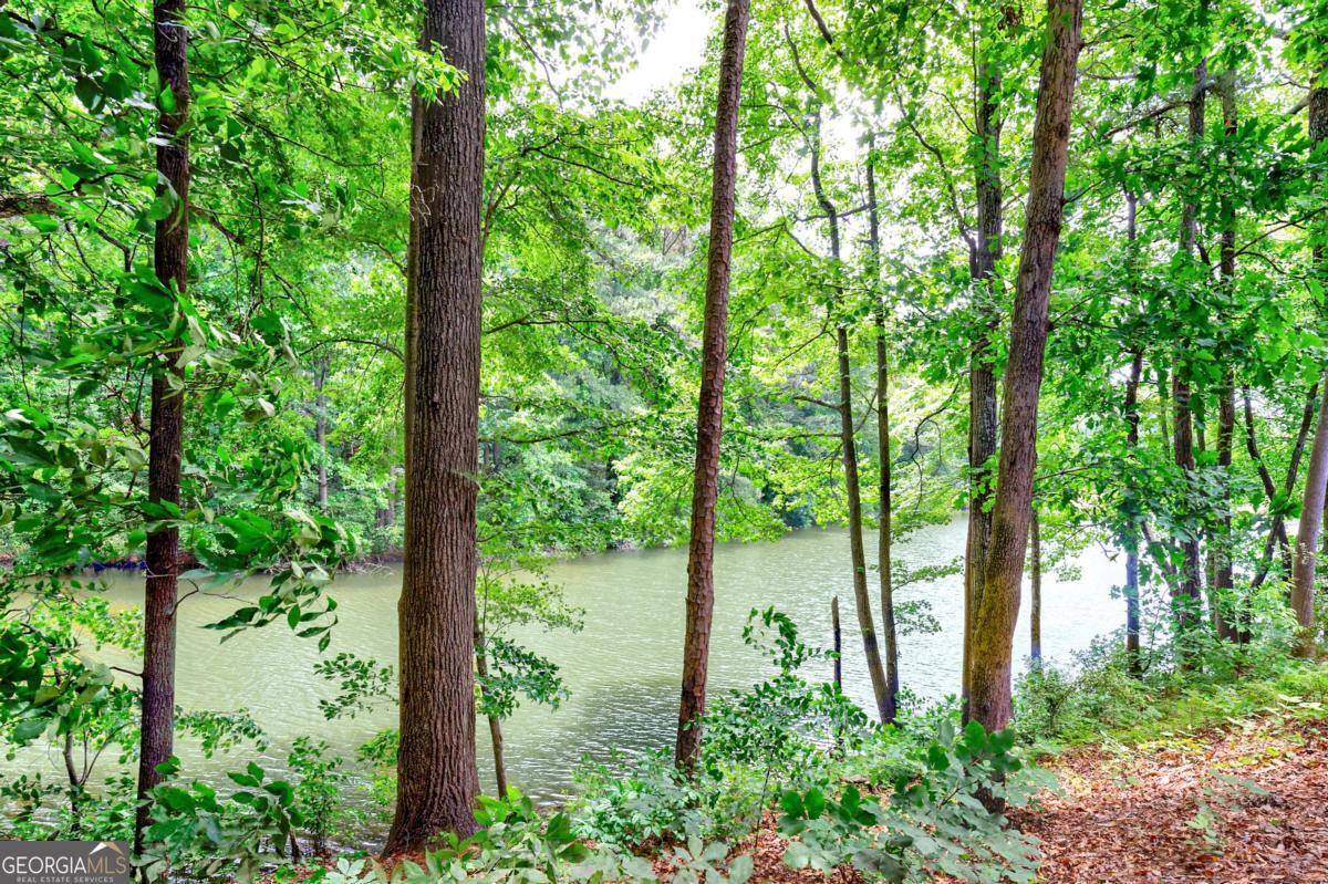 Sandy Springs, GA 30328,41 Basswood CIR
