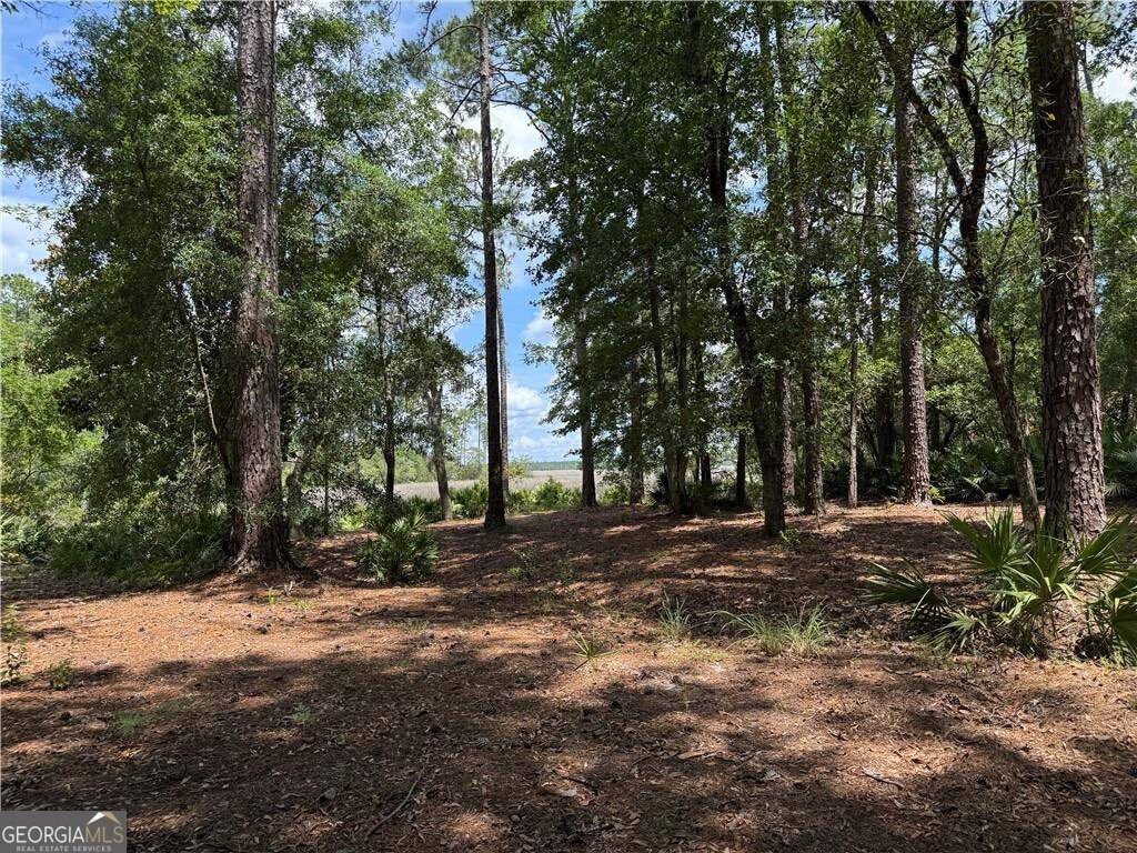 Waverly, GA 31565,LOT 20-C River Place DR