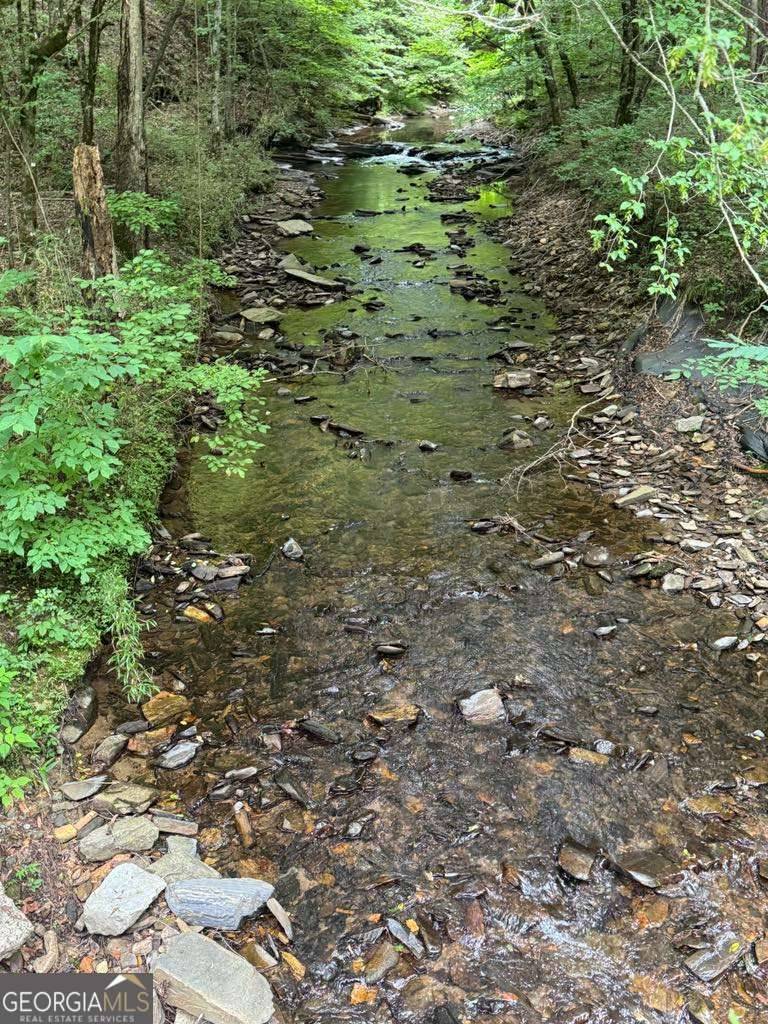 Talking Rock, GA 30175,1634 Carman Way